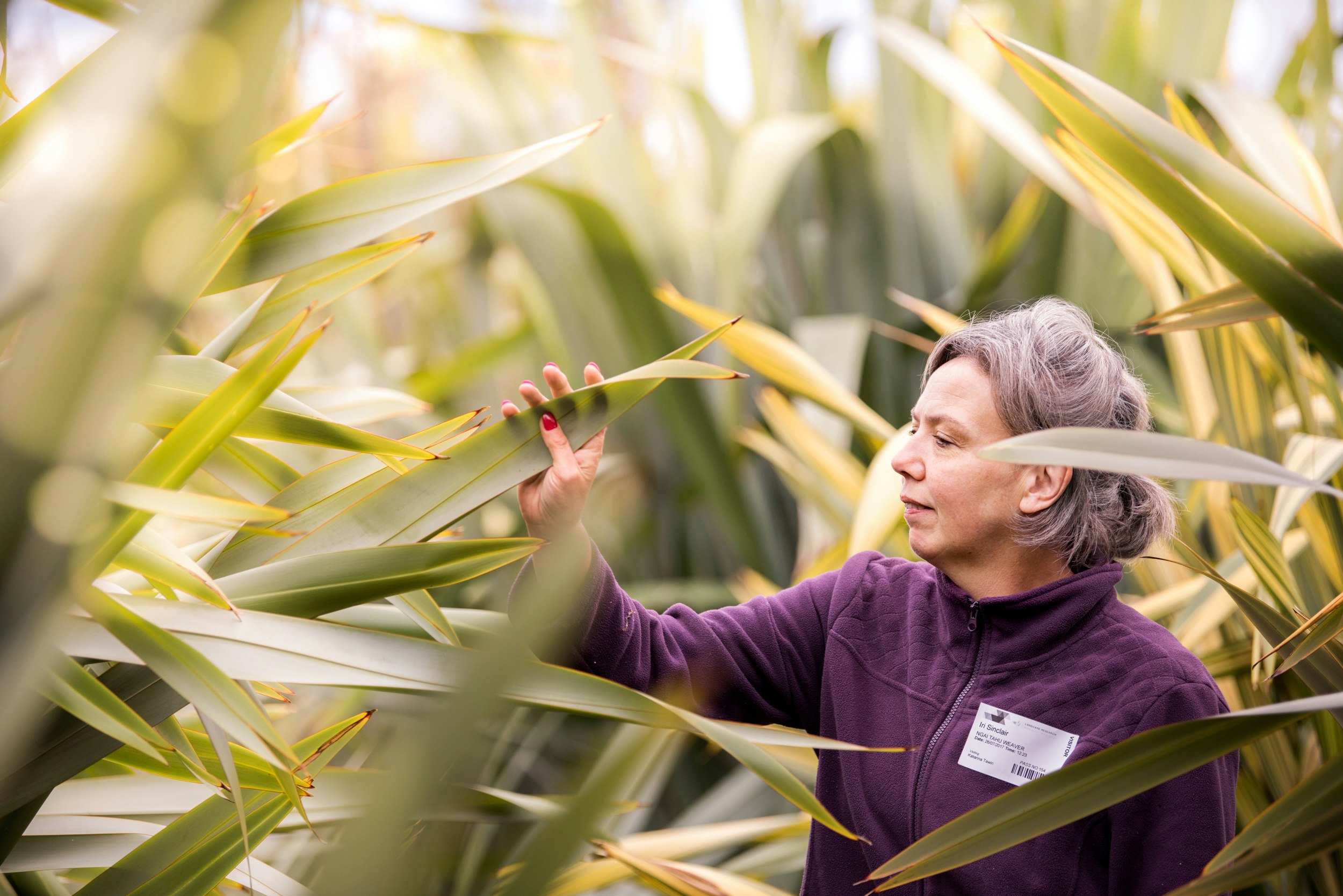 The Collective Force - Manaaki Whenua | Landcare Research