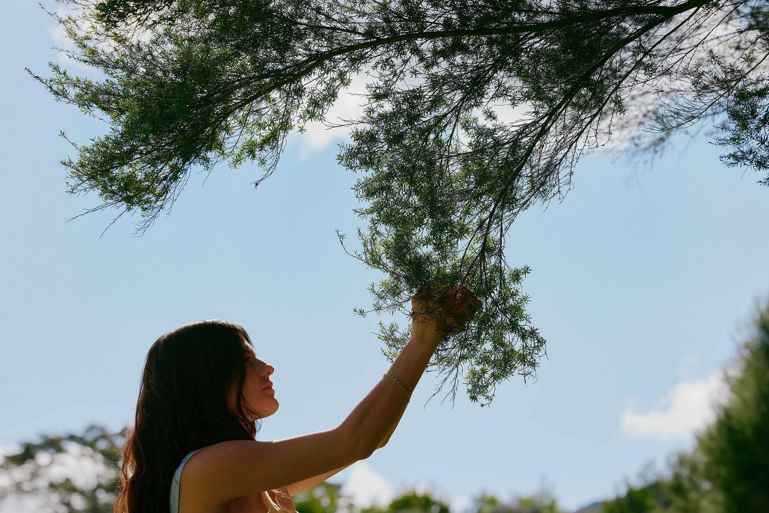 The Collective Force - Matakana Essentials