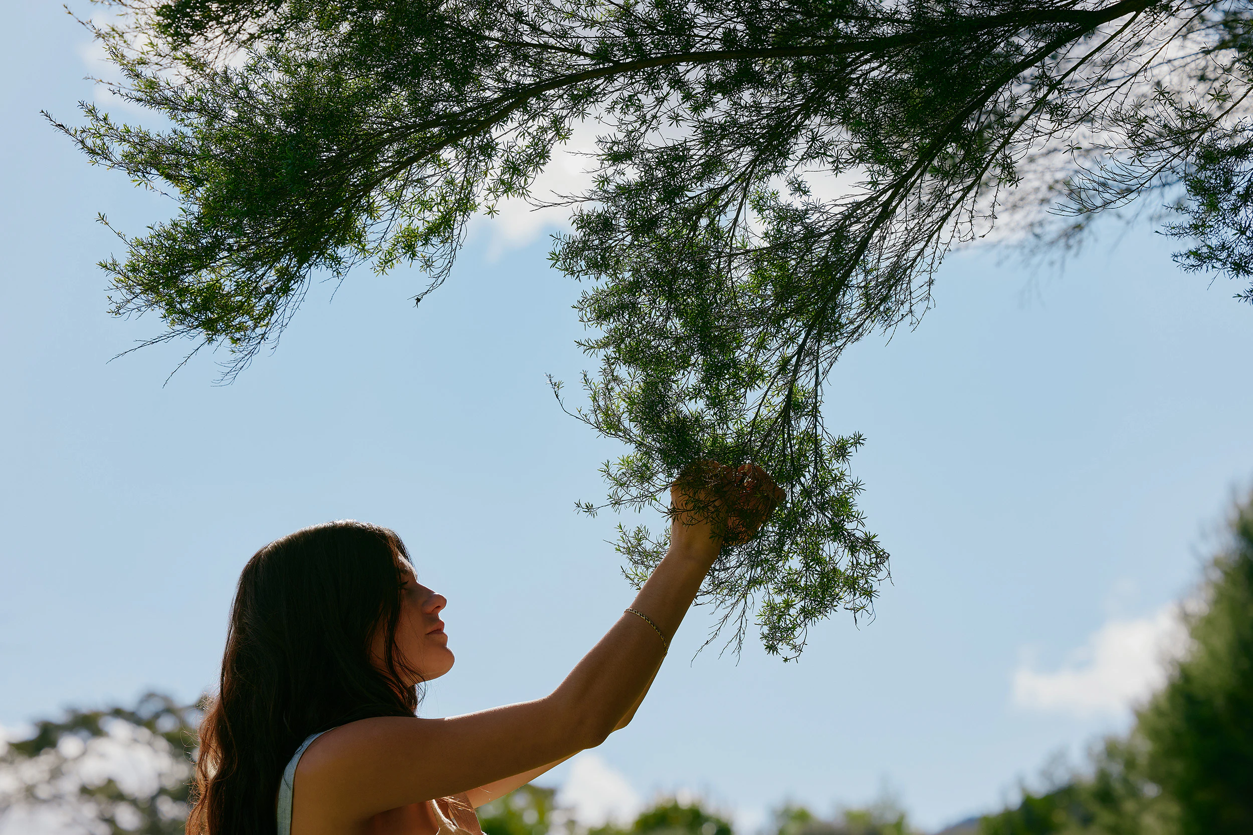 The Collective Force - Matakana Essentials