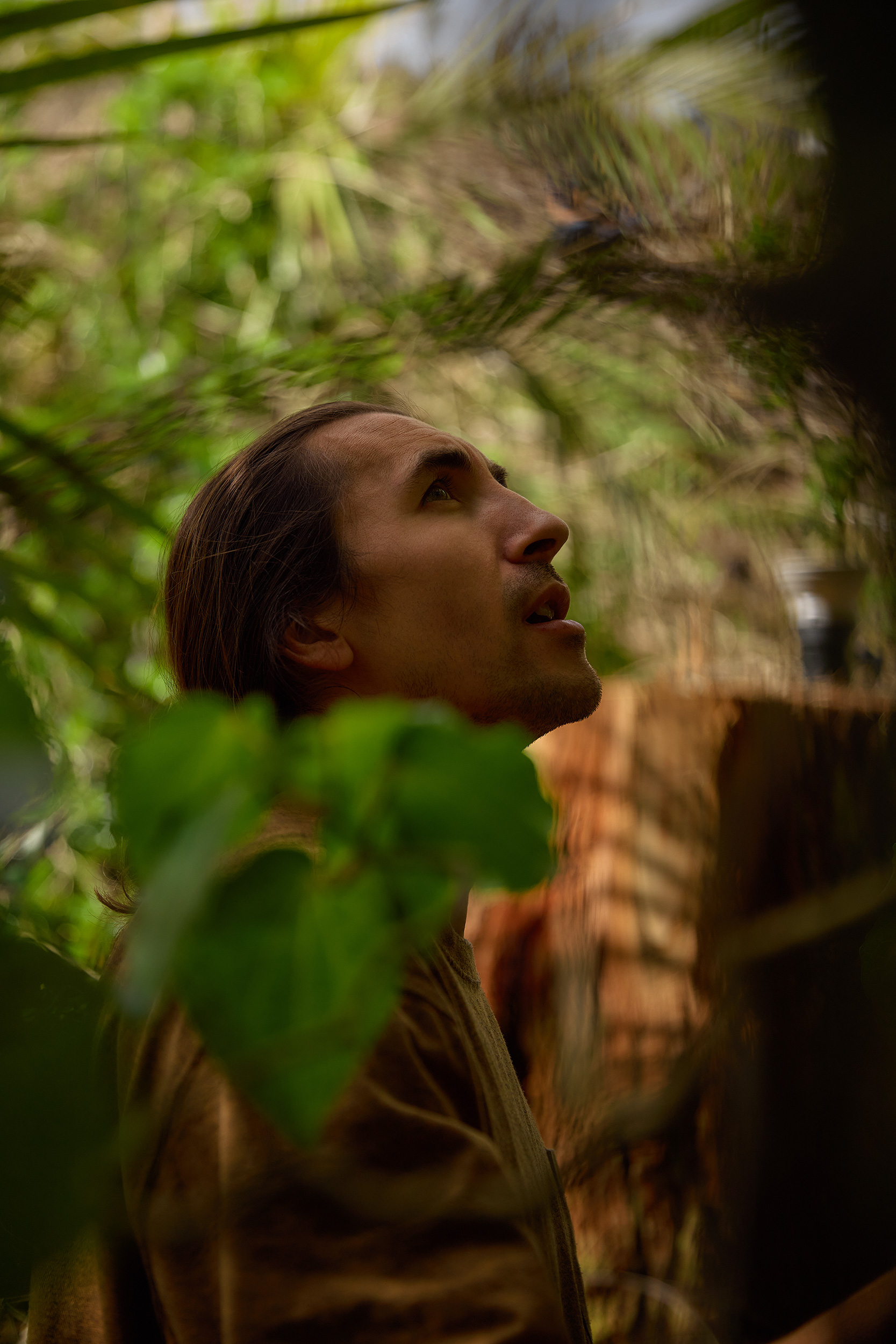 The Collective Force - Matakana Essentials