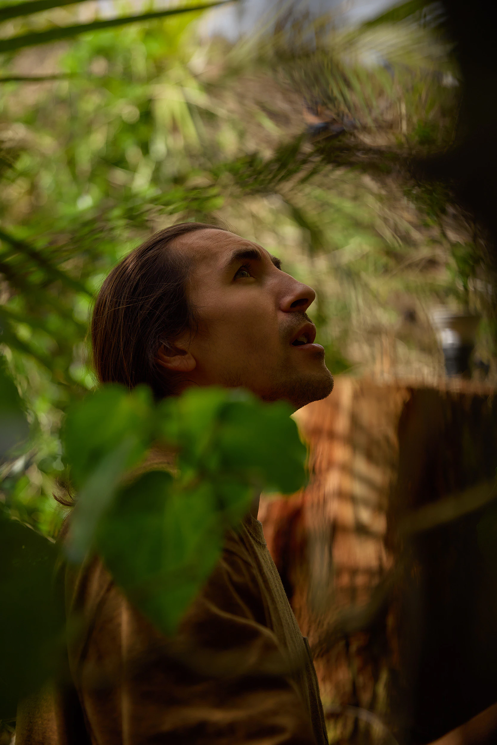 The Collective Force - Matakana Essentials