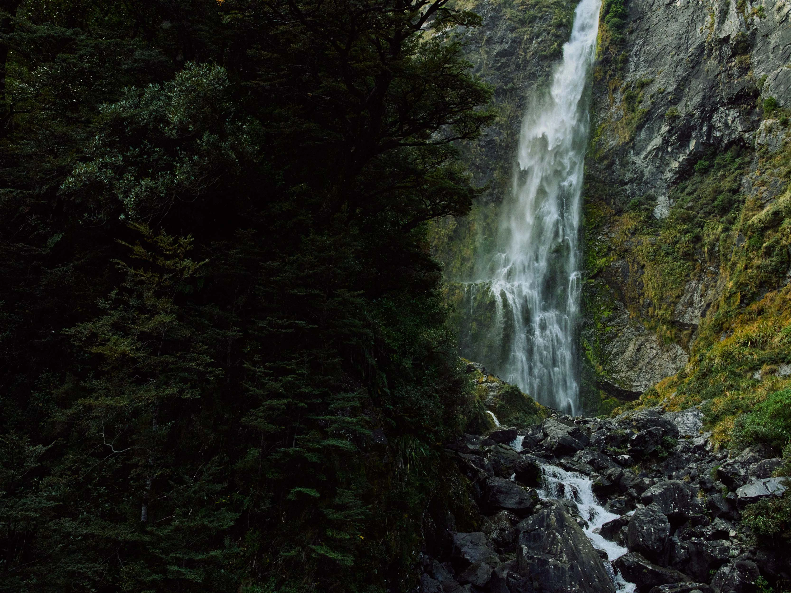 The Collective Force - MCF