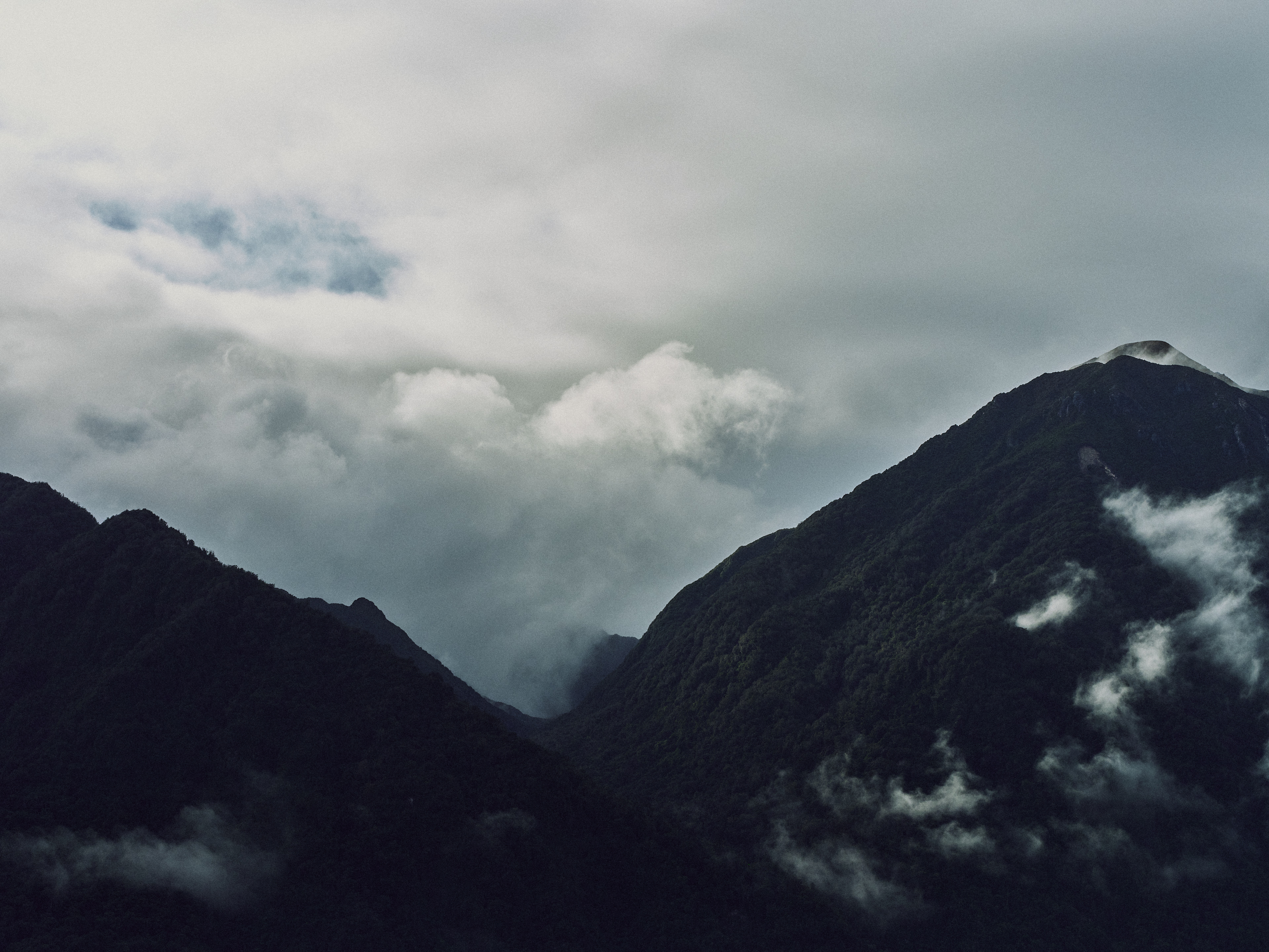 The Collective Force - MCF