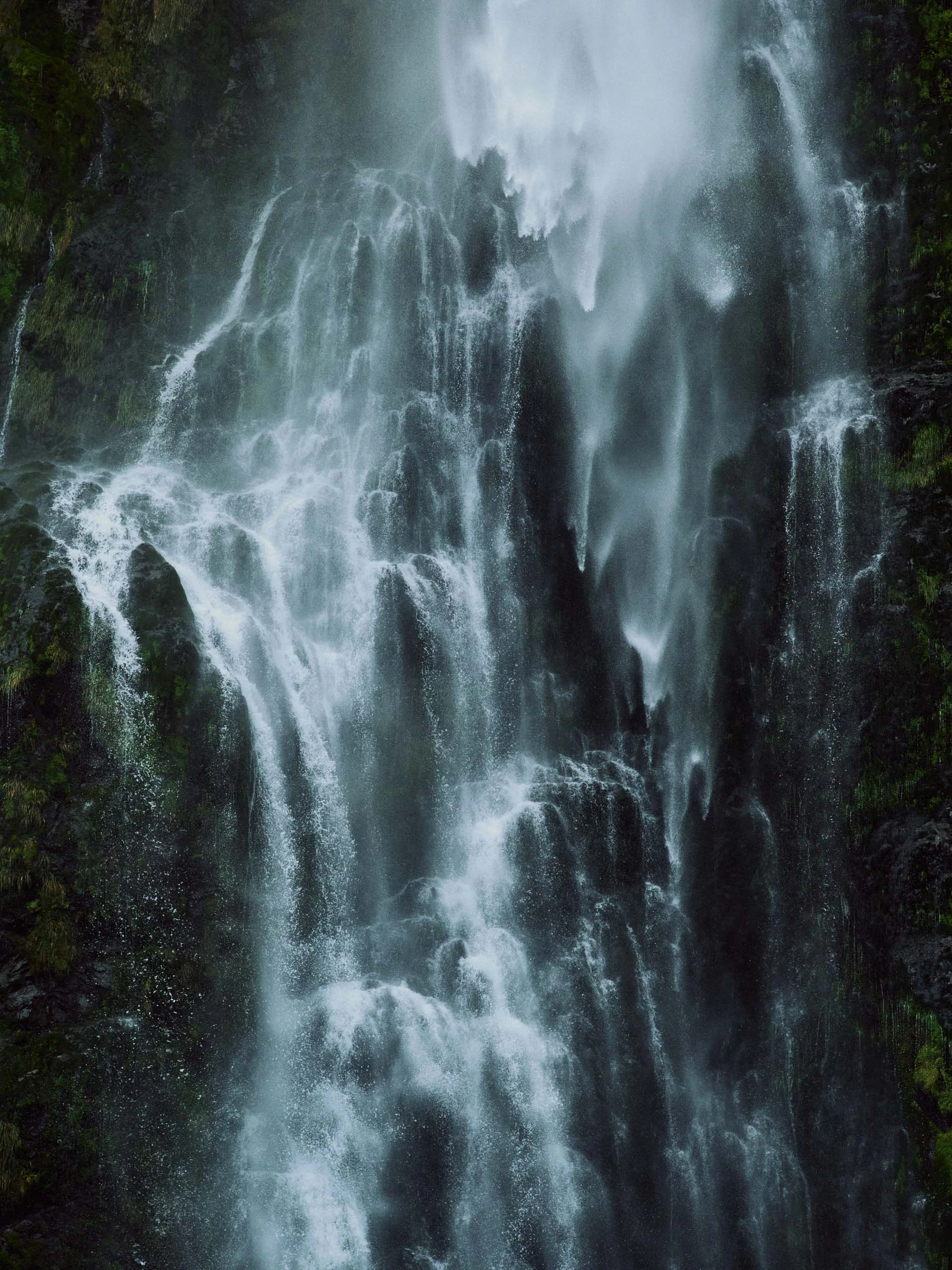 The Collective Force - MCF