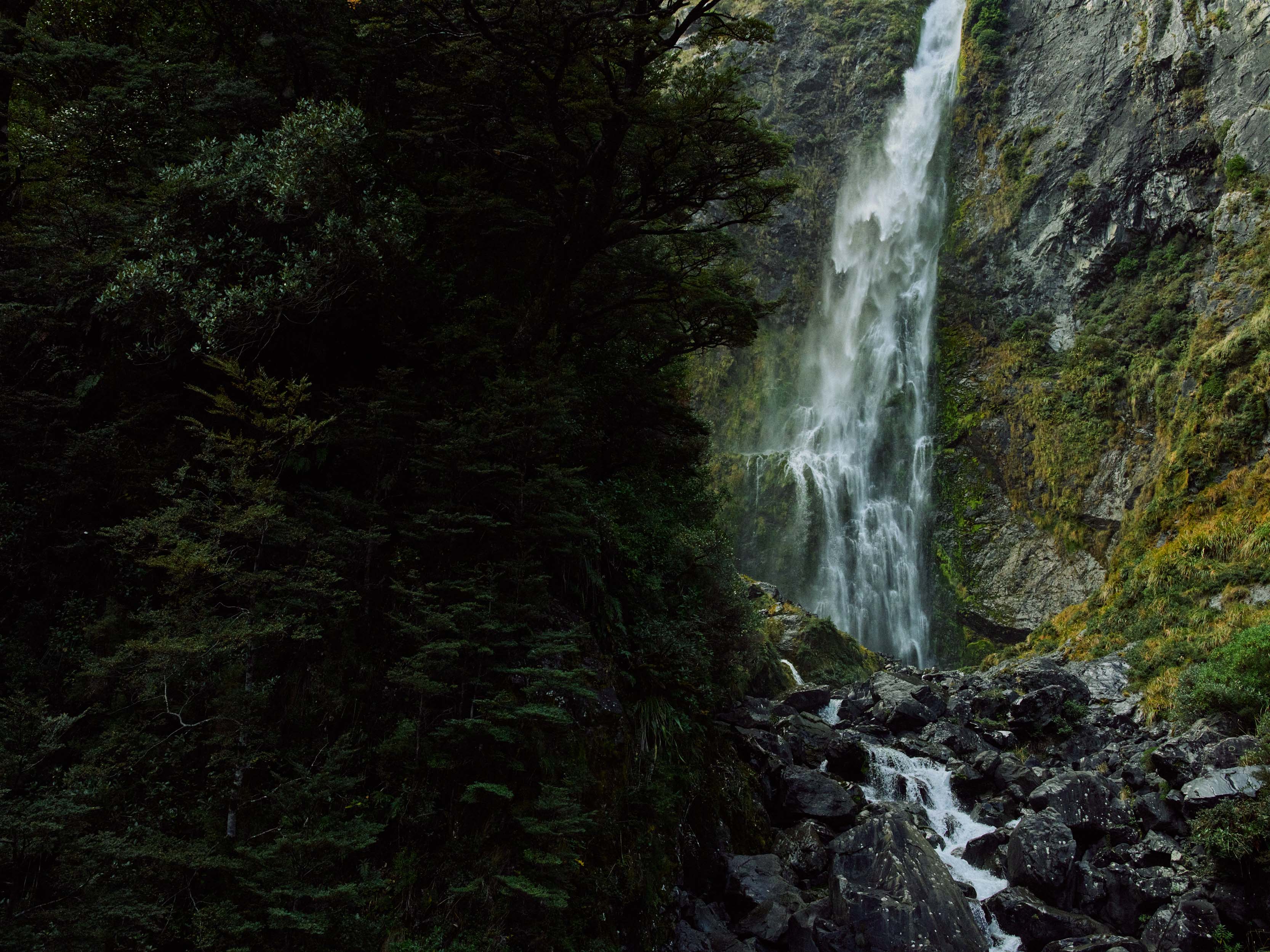 The Collective Force - MCF