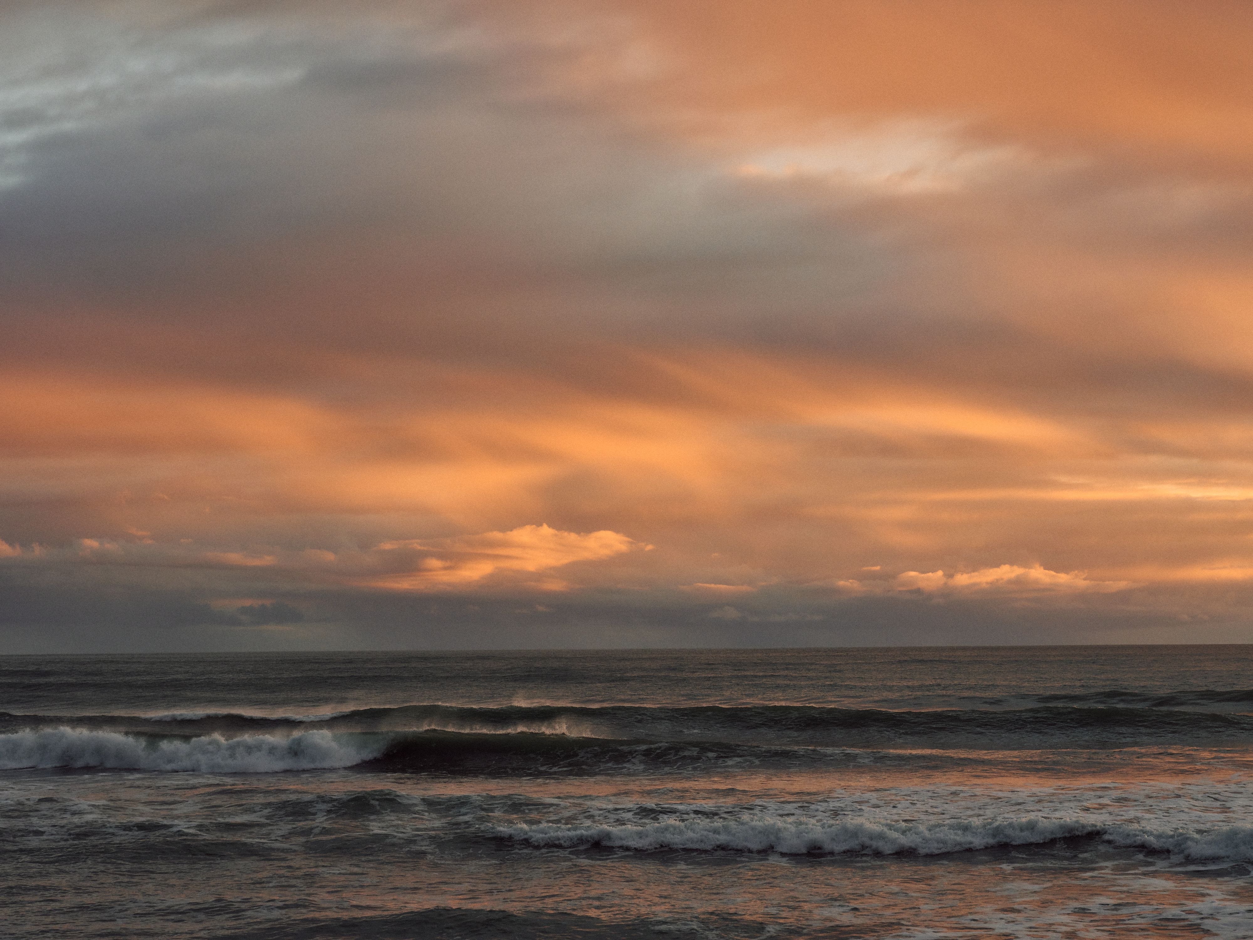 The Collective Force - MCF