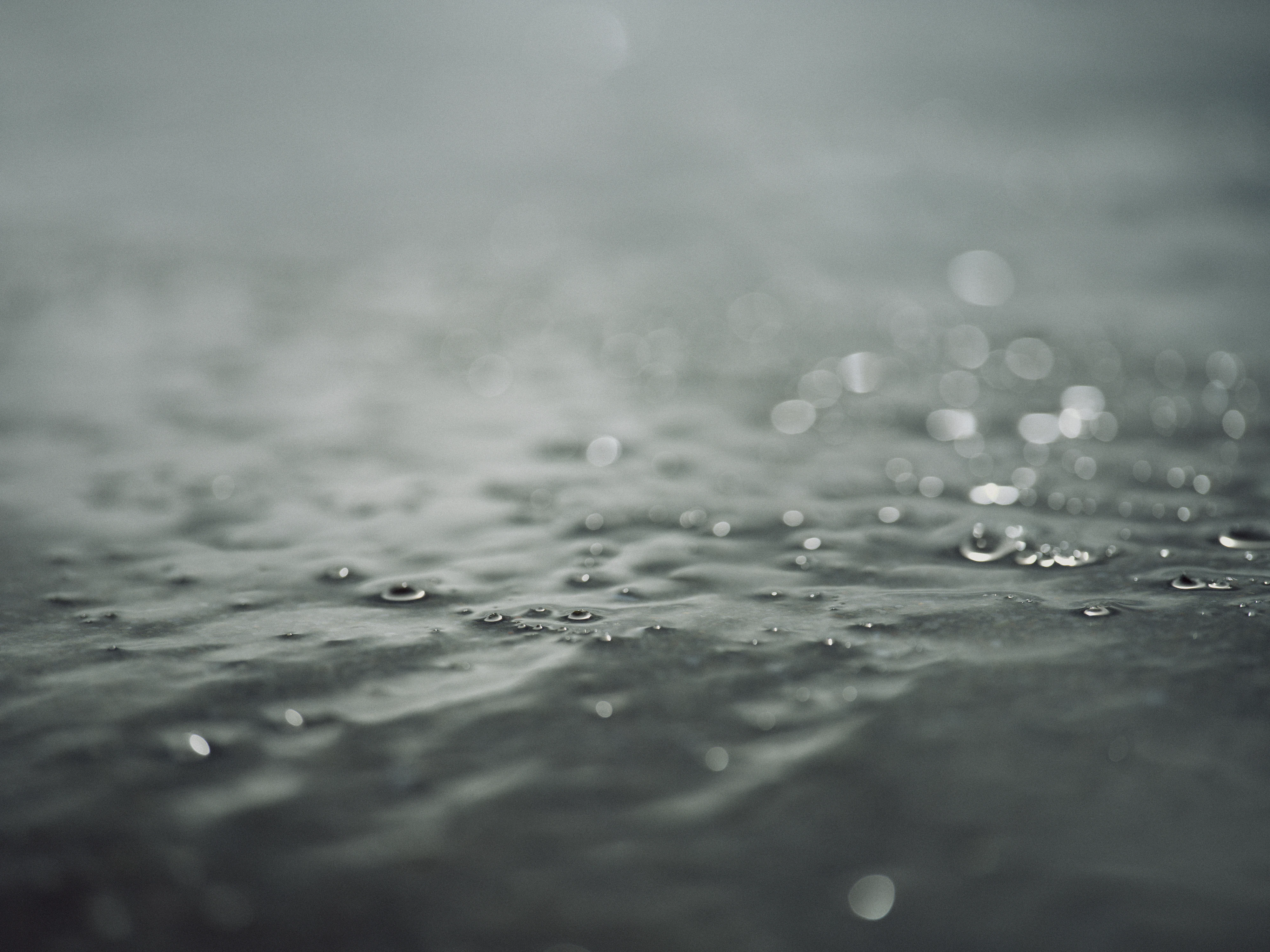 The Collective Force - MCF