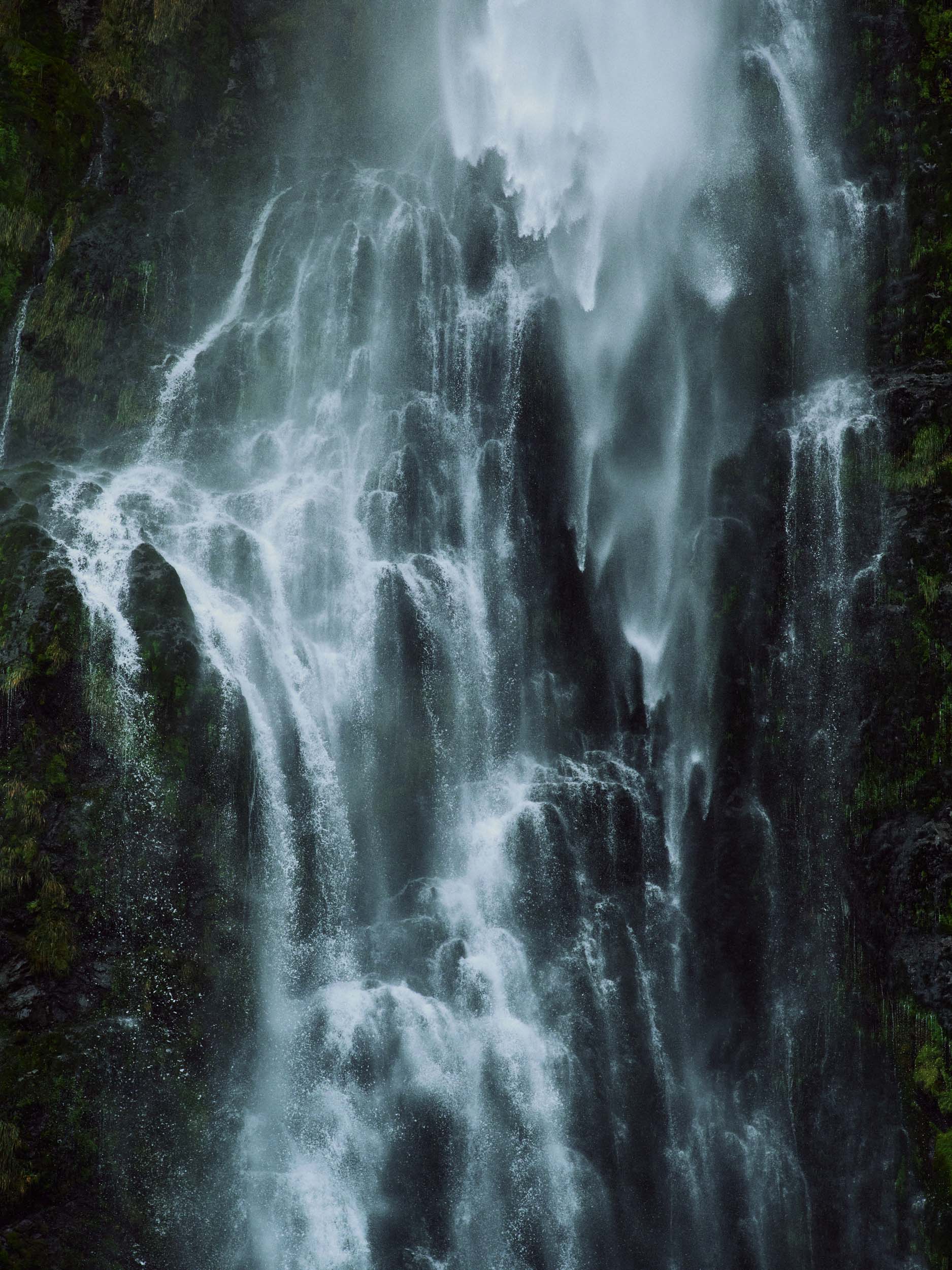 The Collective Force - MCF