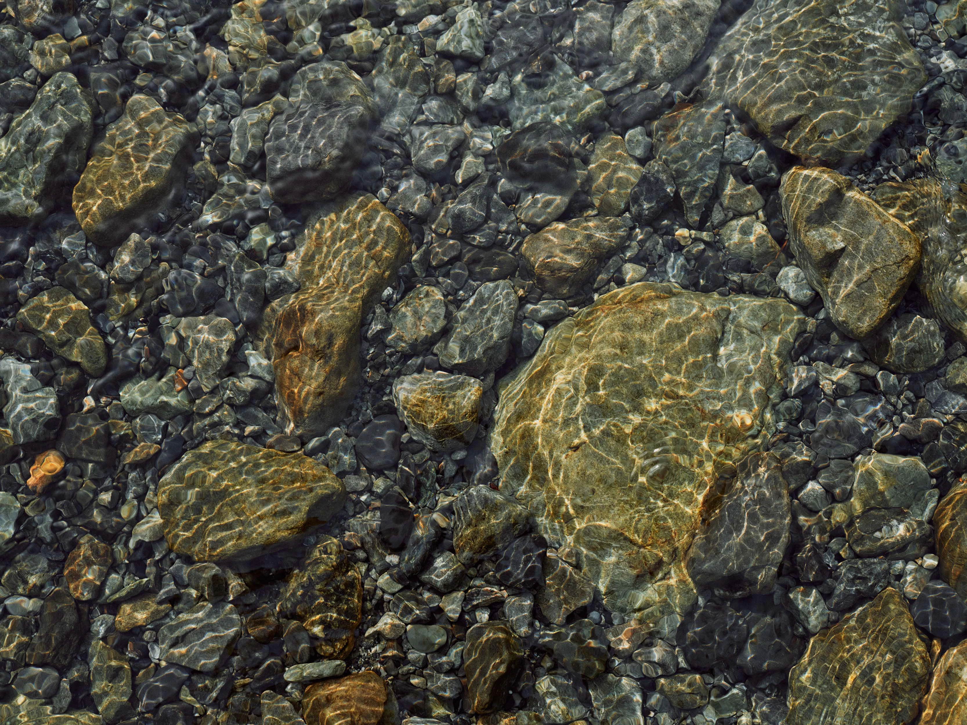 The Collective Force - MCF