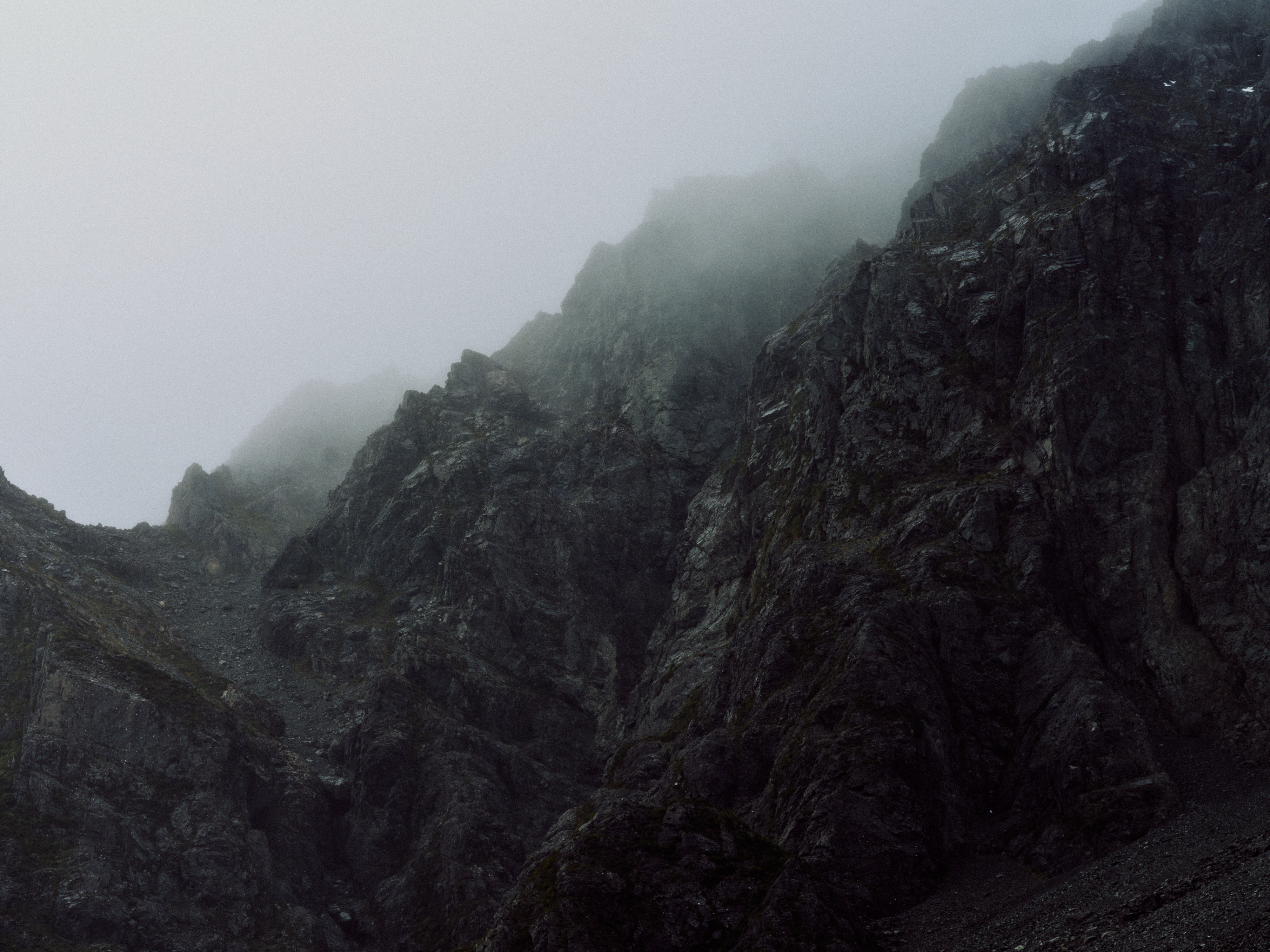 The Collective Force - MCF