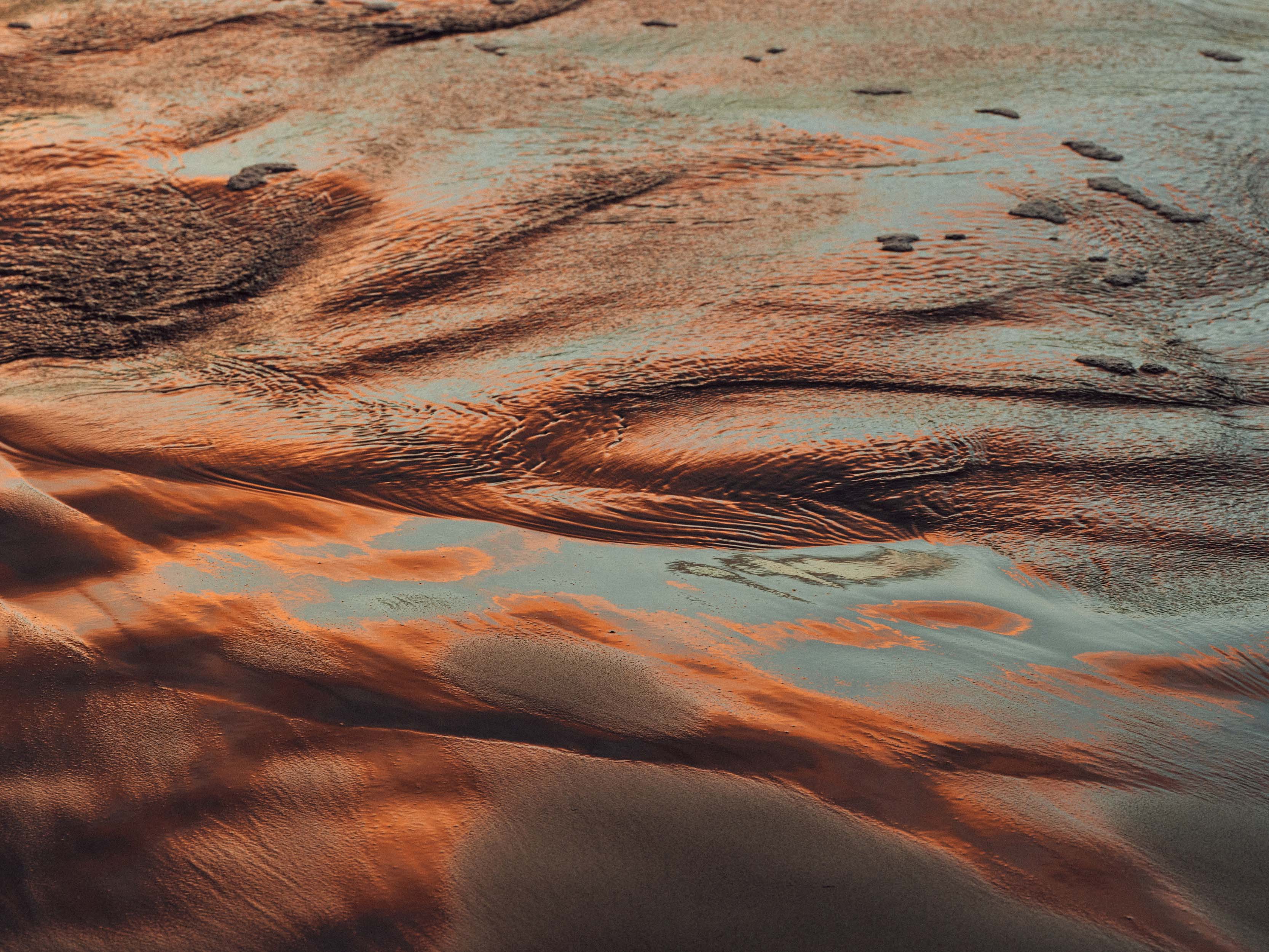 The Collective Force - MCF