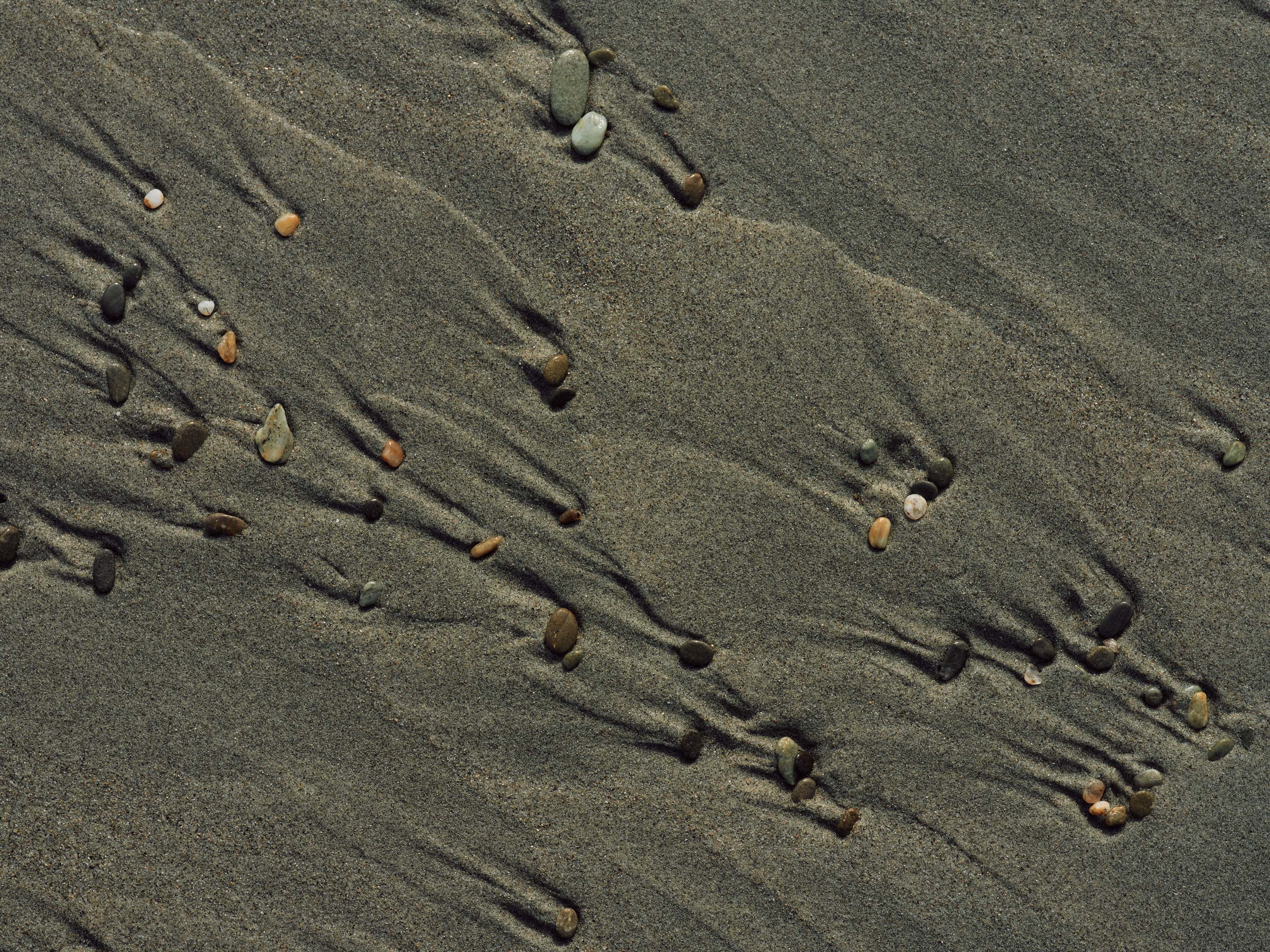 The Collective Force - MCF