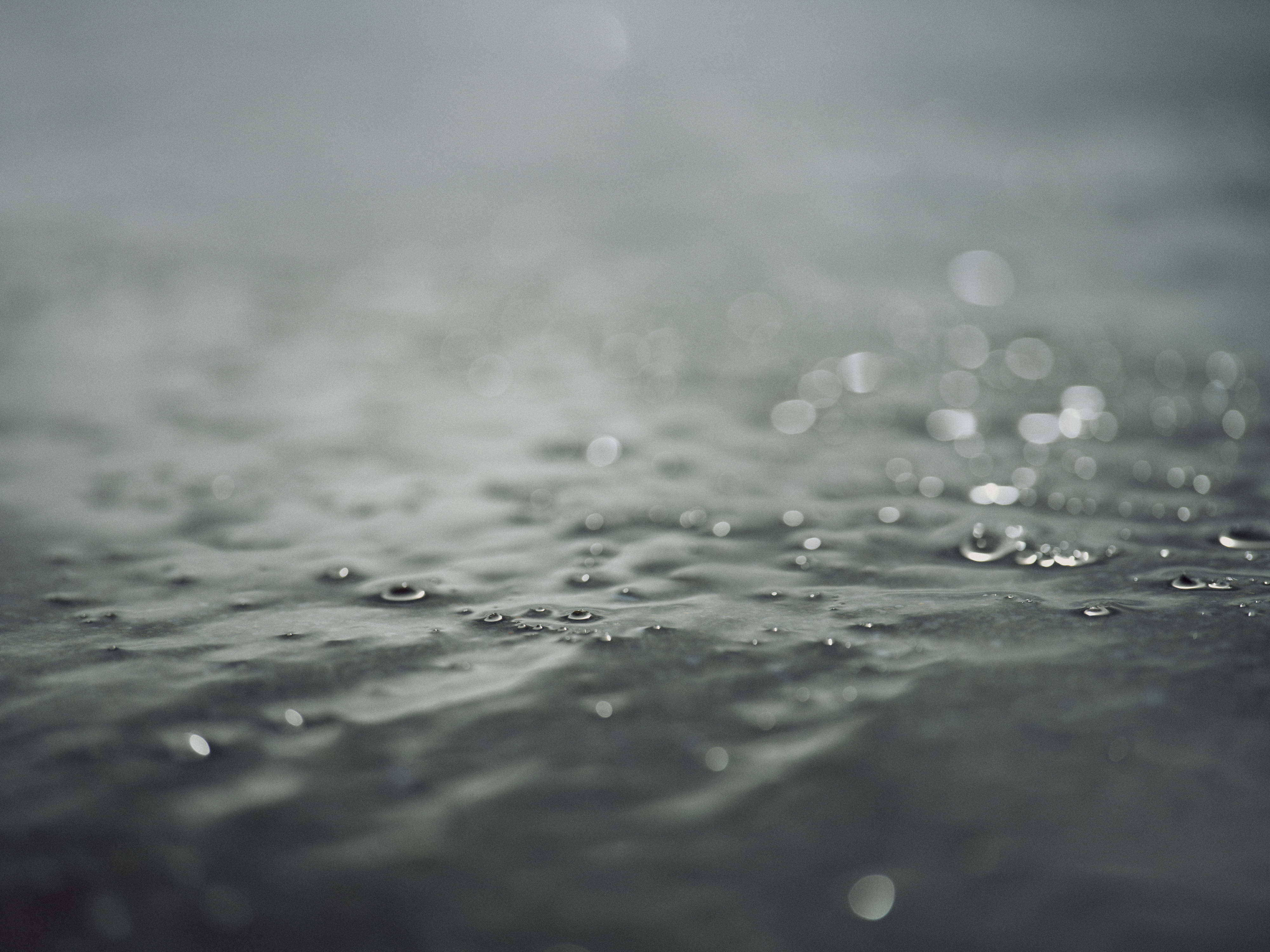 The Collective Force - MCF