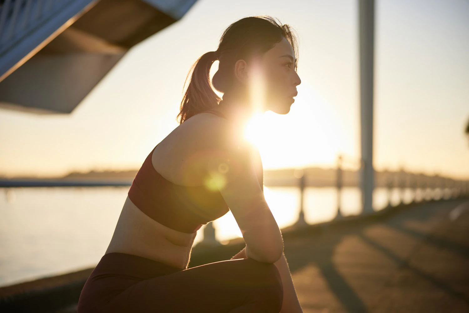 The Collective Force - MitoQ