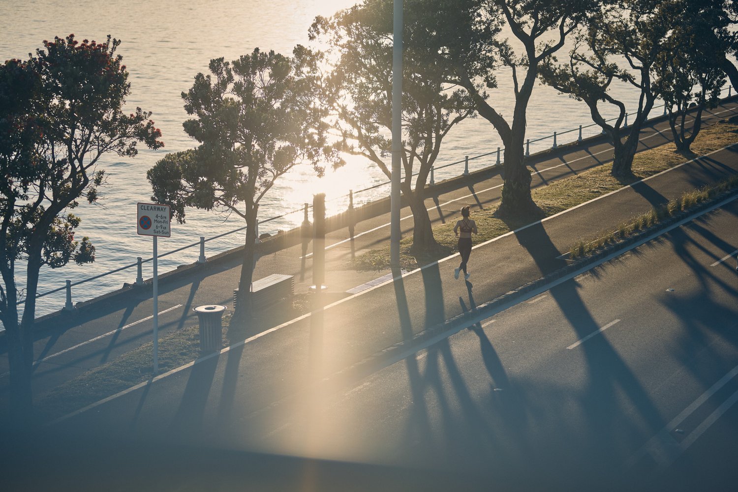 The Collective Force - MitoQ