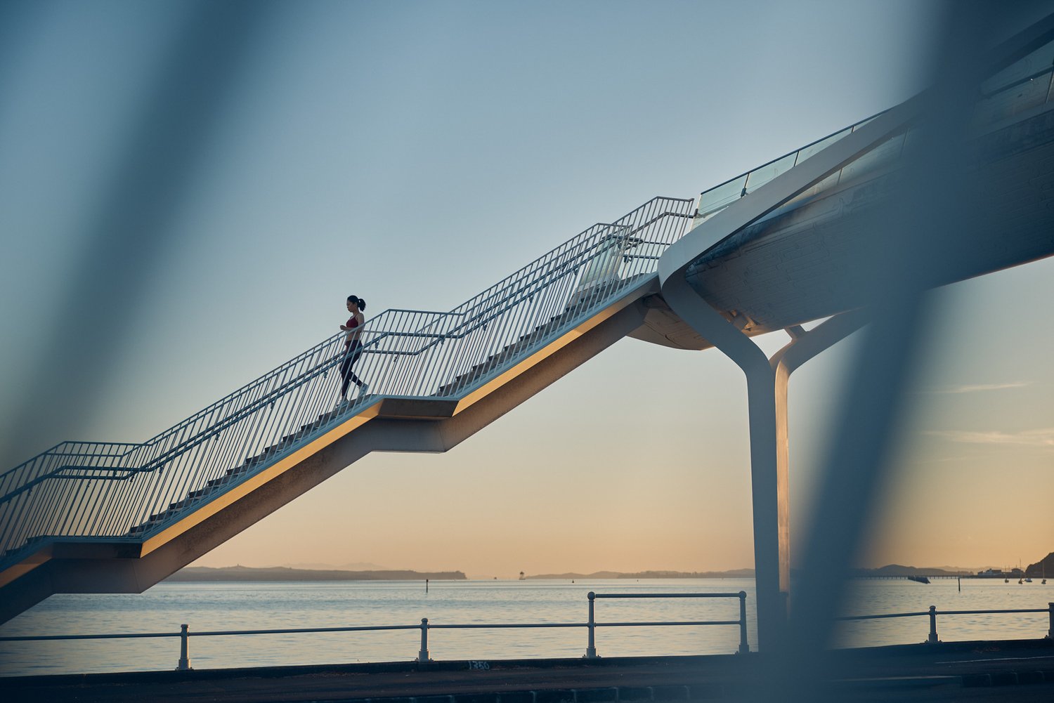 The Collective Force - MitoQ