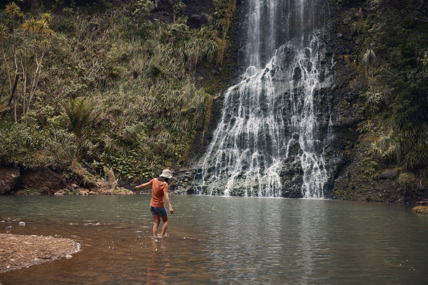 The Collective Force - MitoQ