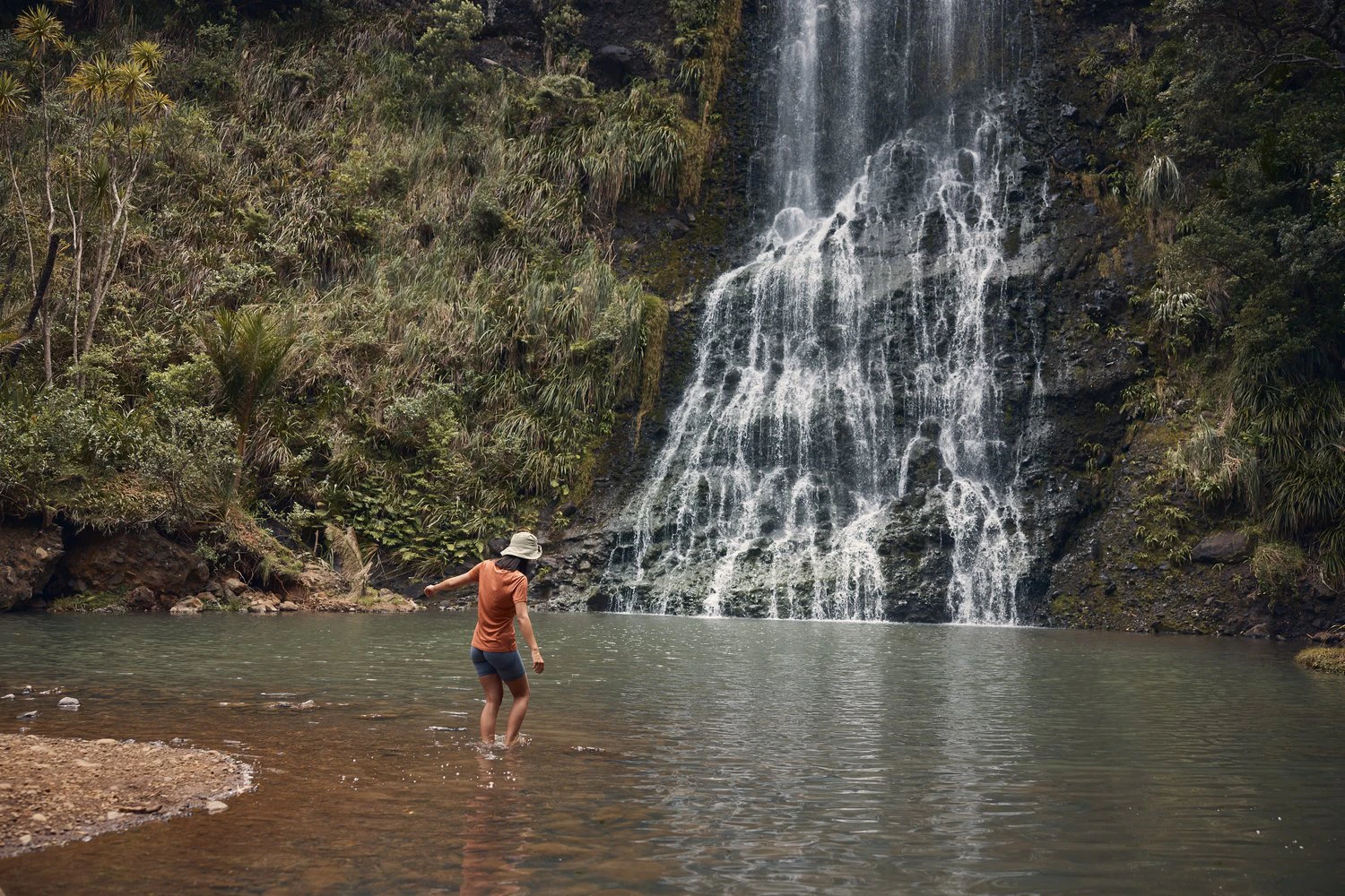 The Collective Force - MitoQ