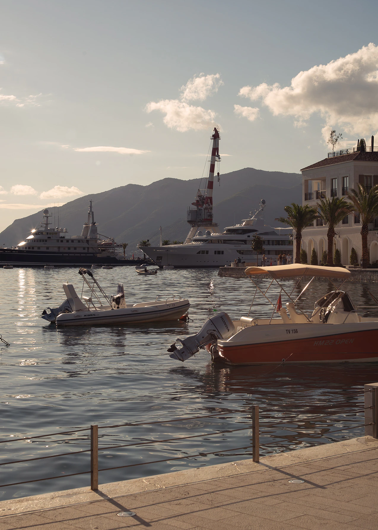 The Collective Force - Montenegro