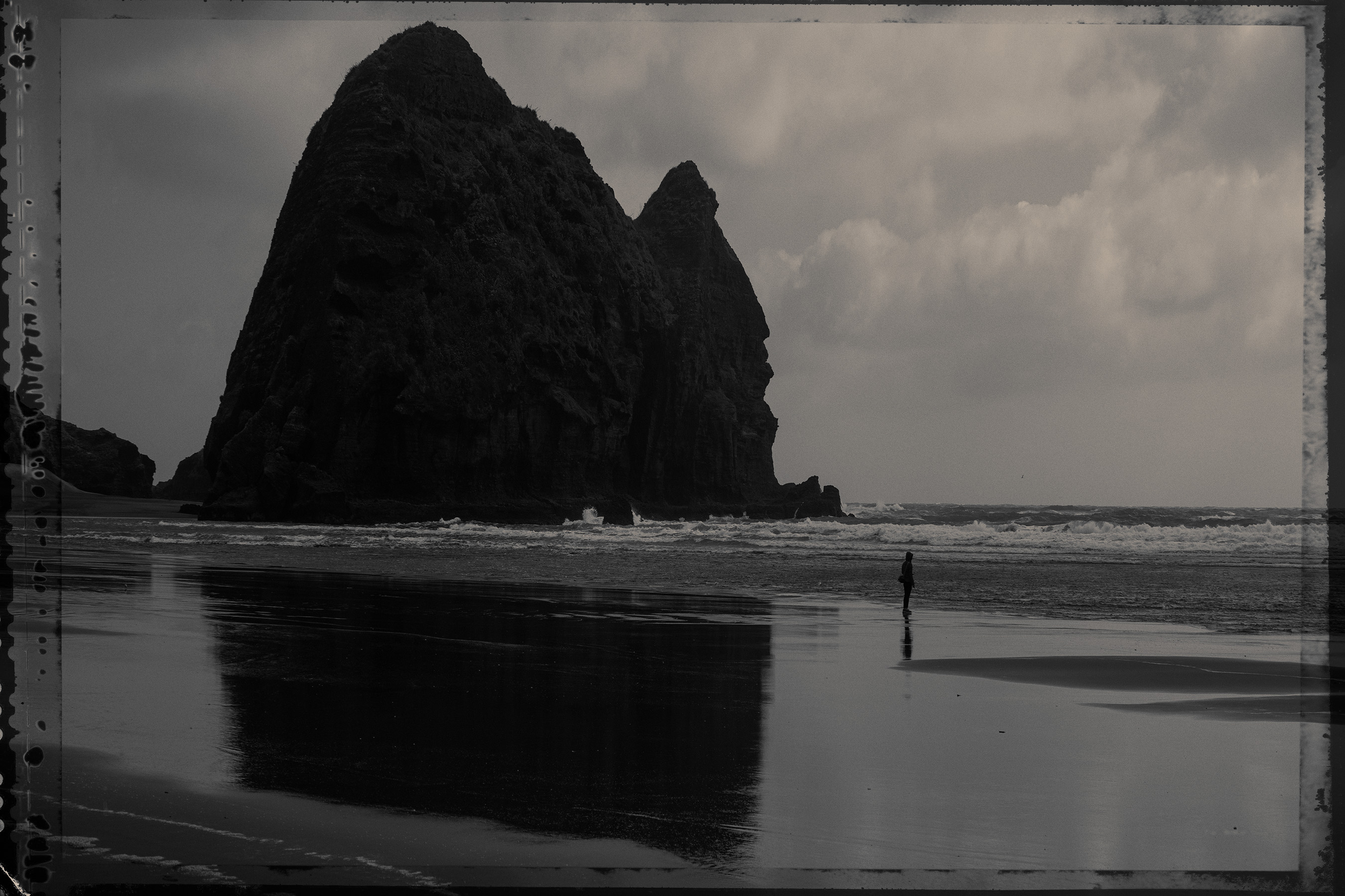 The Collective Force - Nature Has Her Way