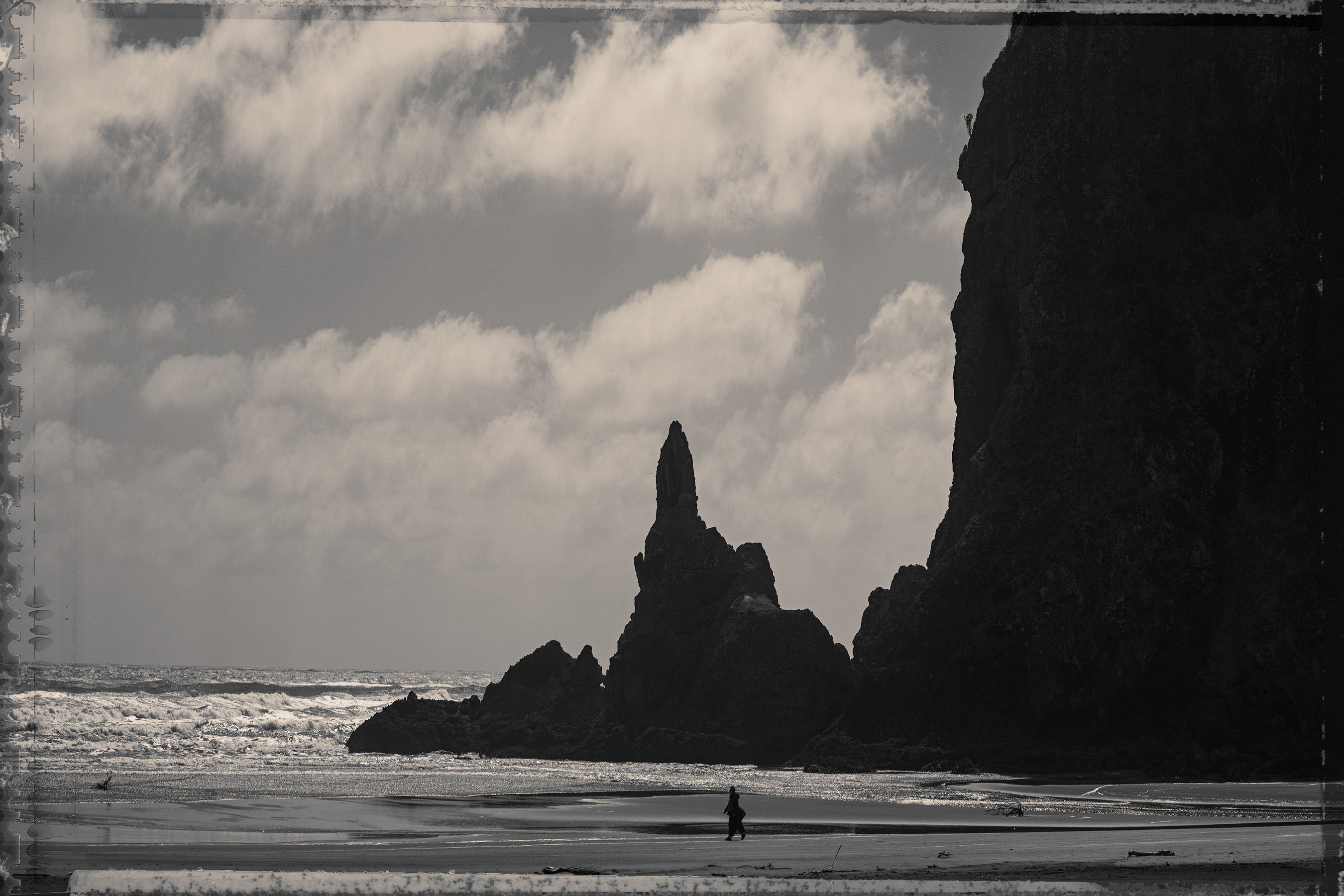 The Collective Force - Nature Has Her Way