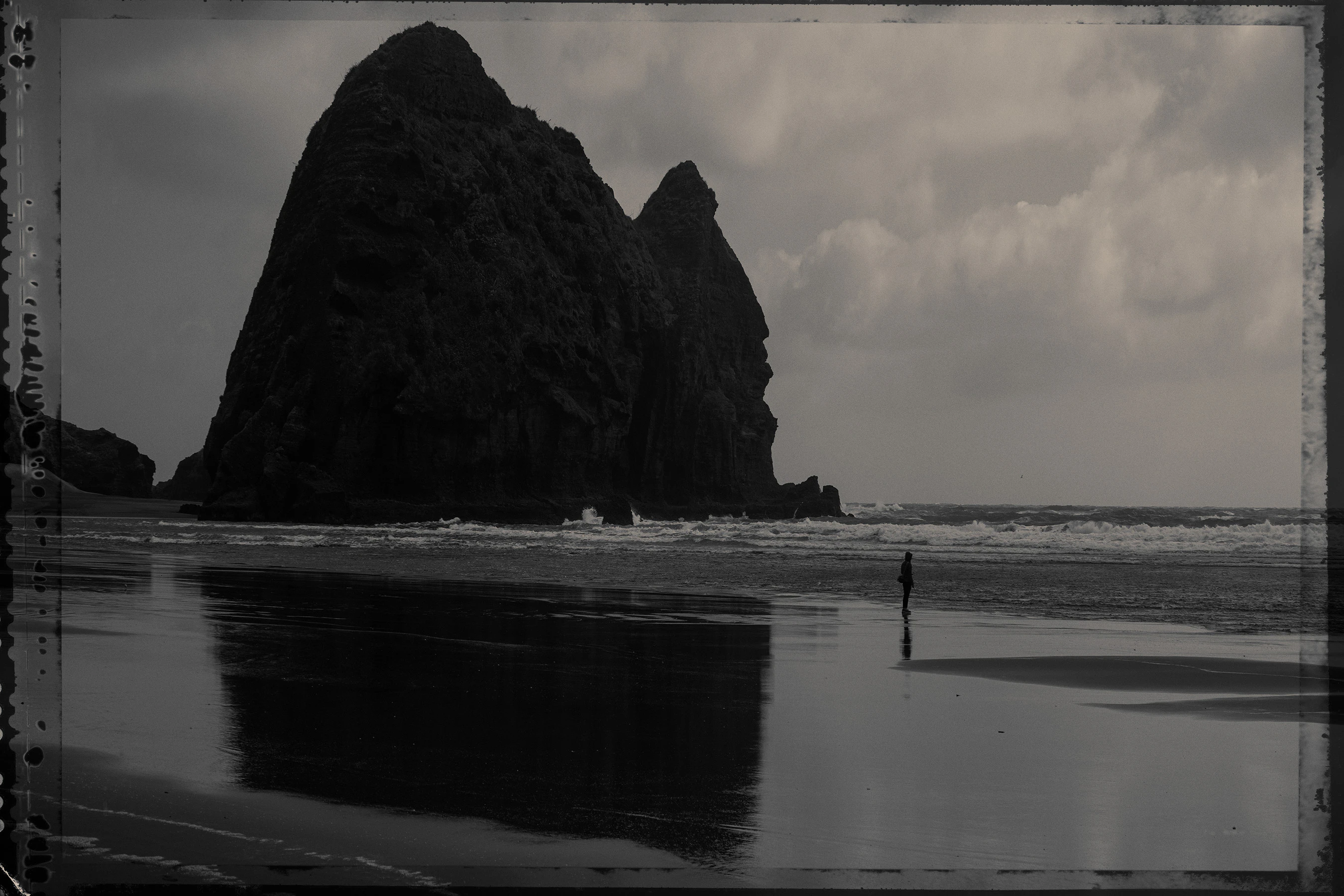 The Collective Force - Nature Has Her Way