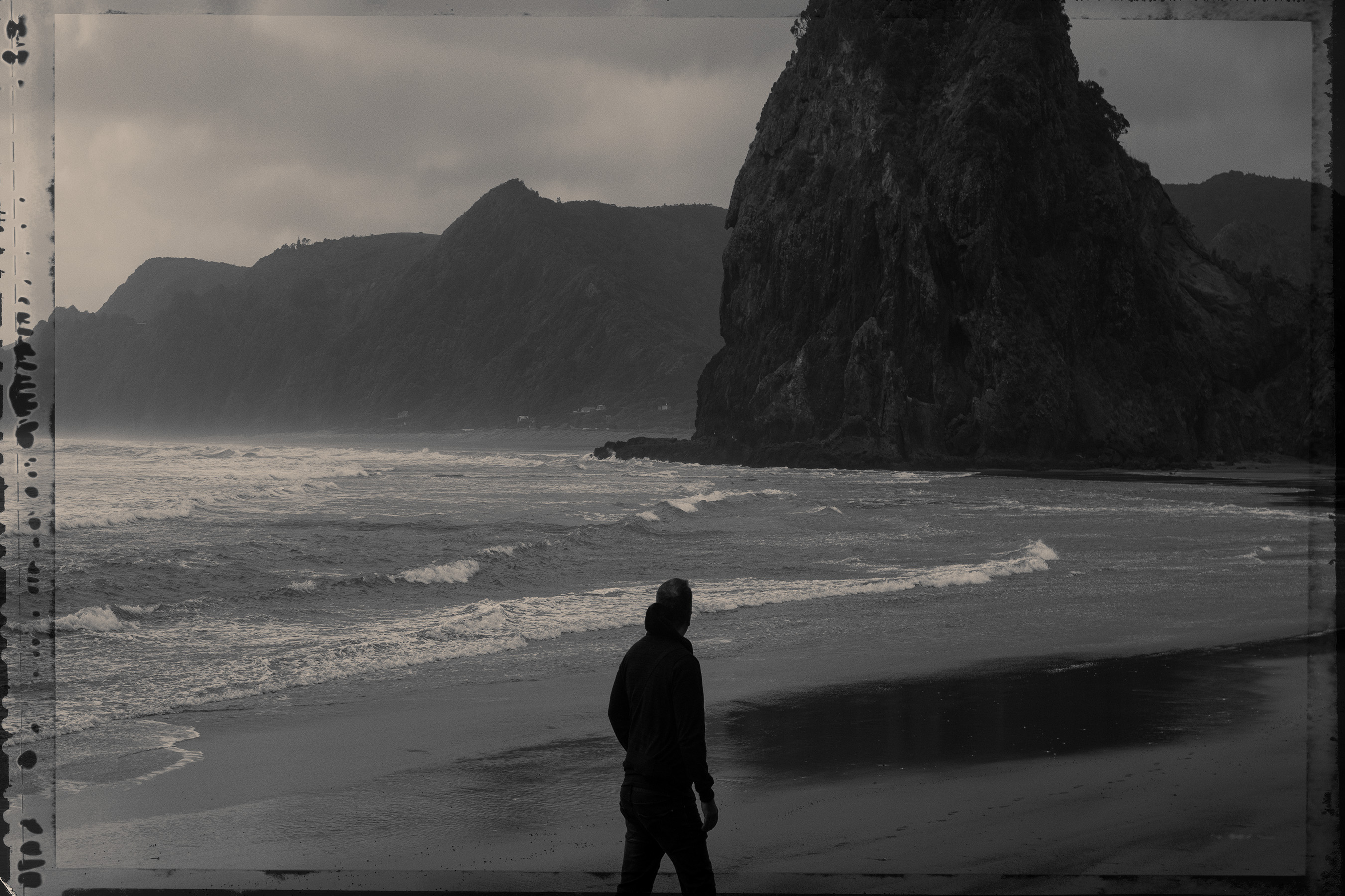 The Collective Force - Nature Has Her Way