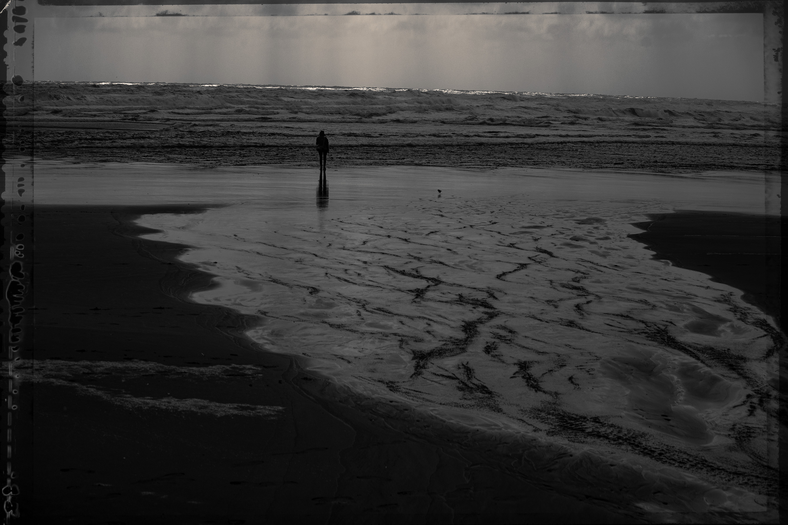 The Collective Force - Nature Has Her Way