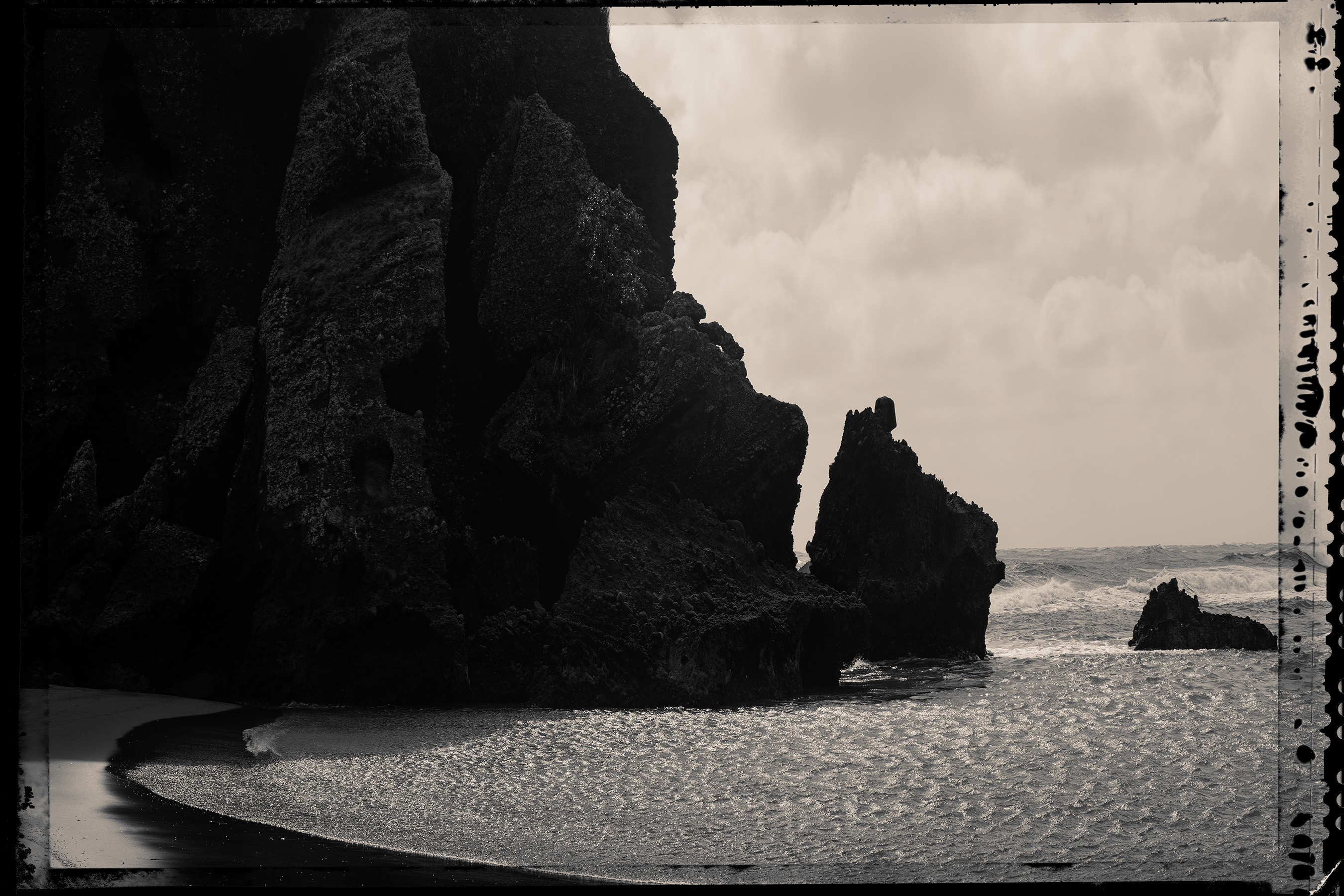 The Collective Force - Nature Has Her Way