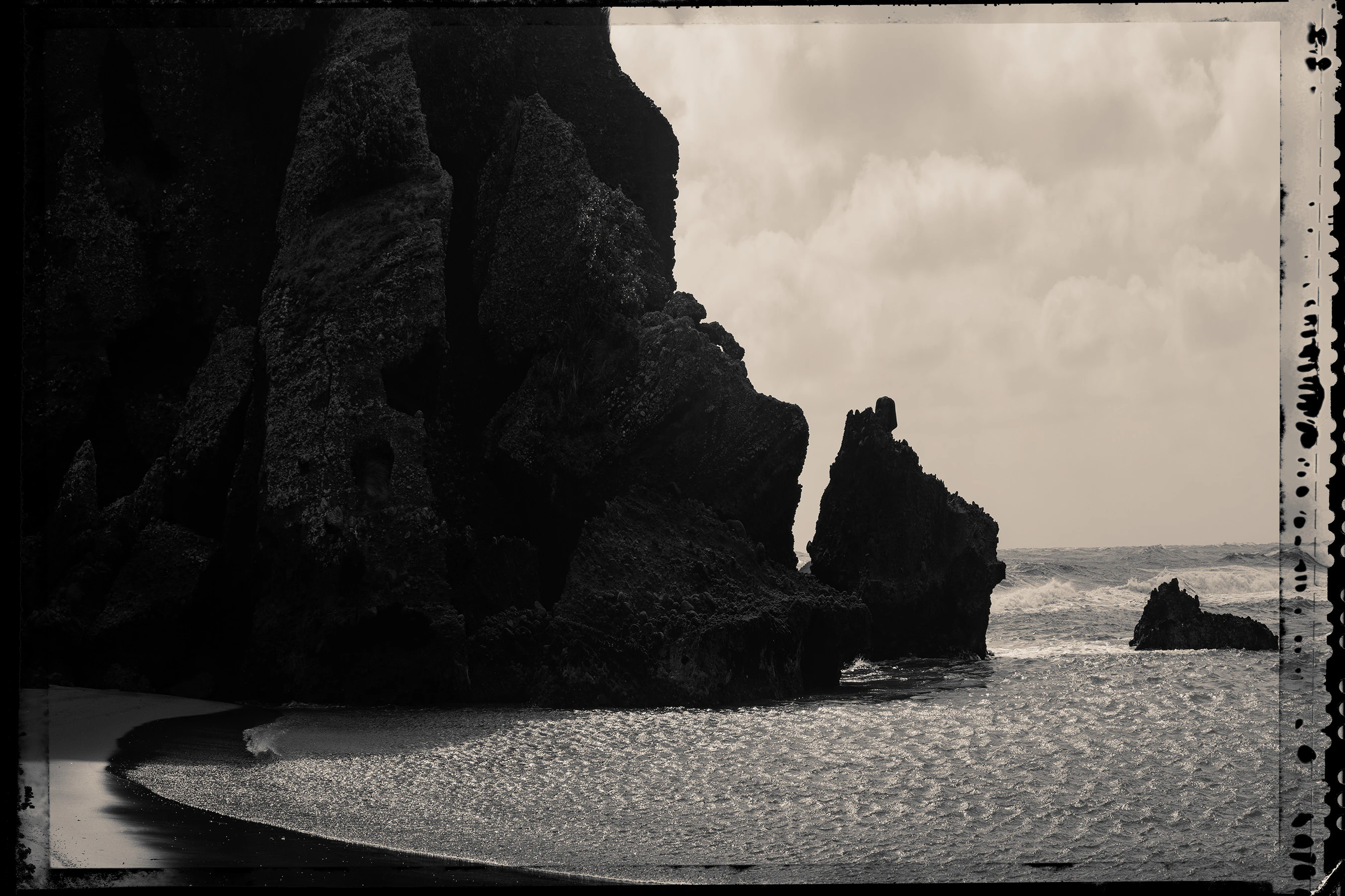 The Collective Force - Nature Has Her Way