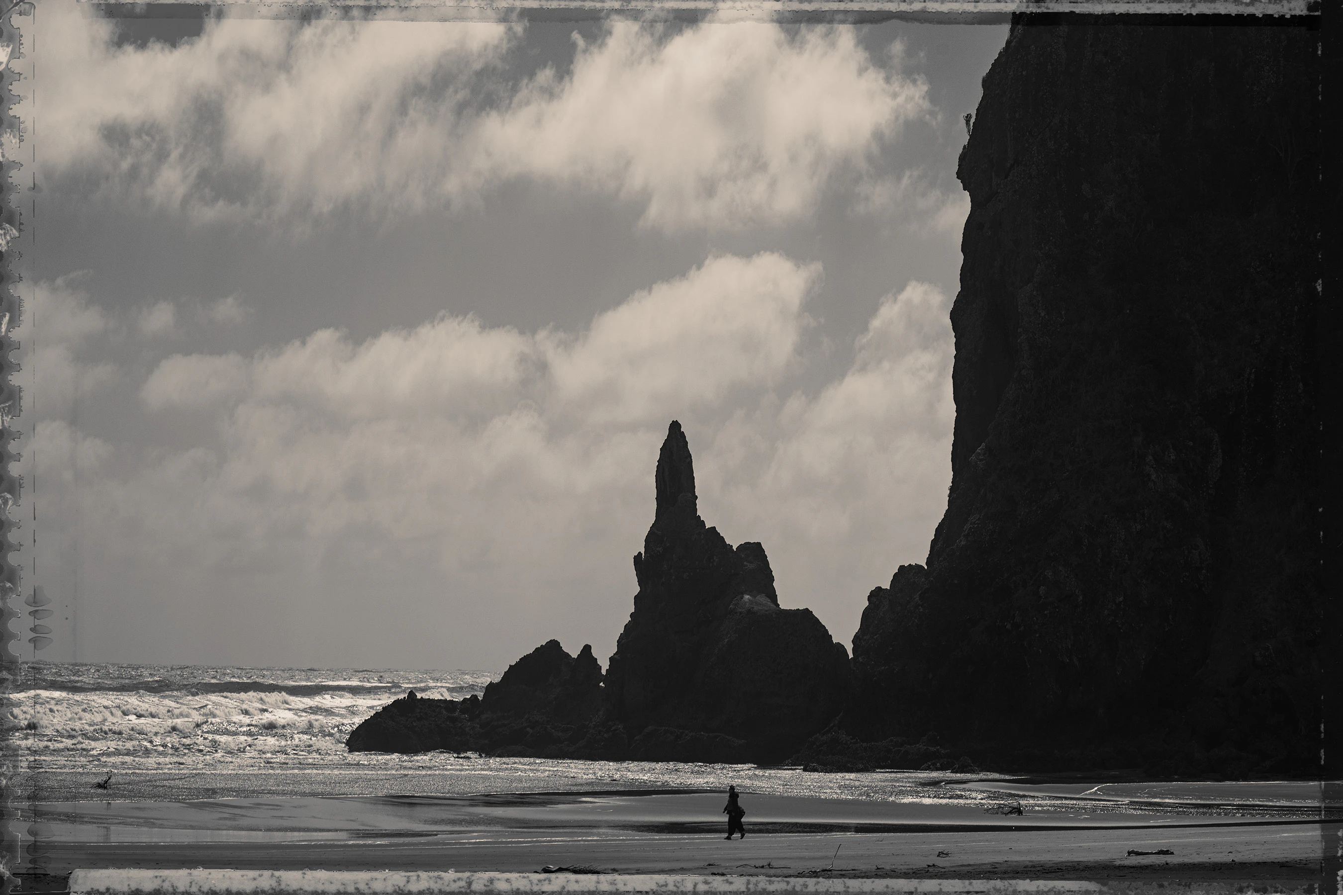 The Collective Force - Nature Has Her Way