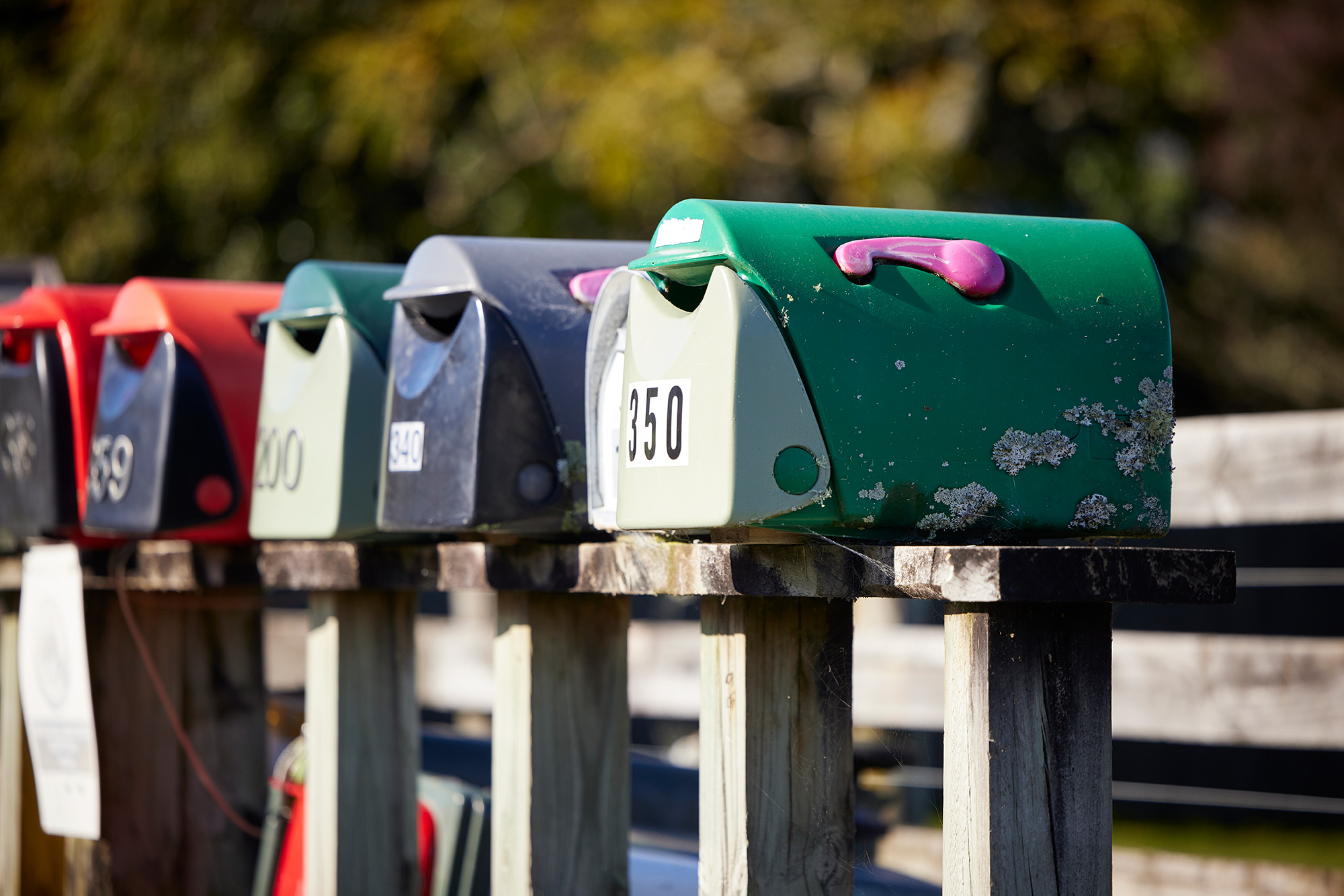 The Collective Force - NZ Post Sustainability