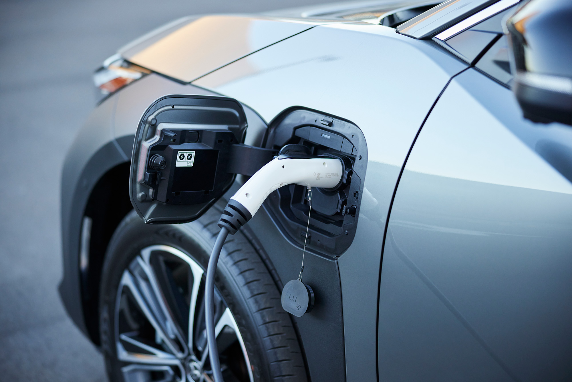 The Collective Force - NZ Post Sustainability