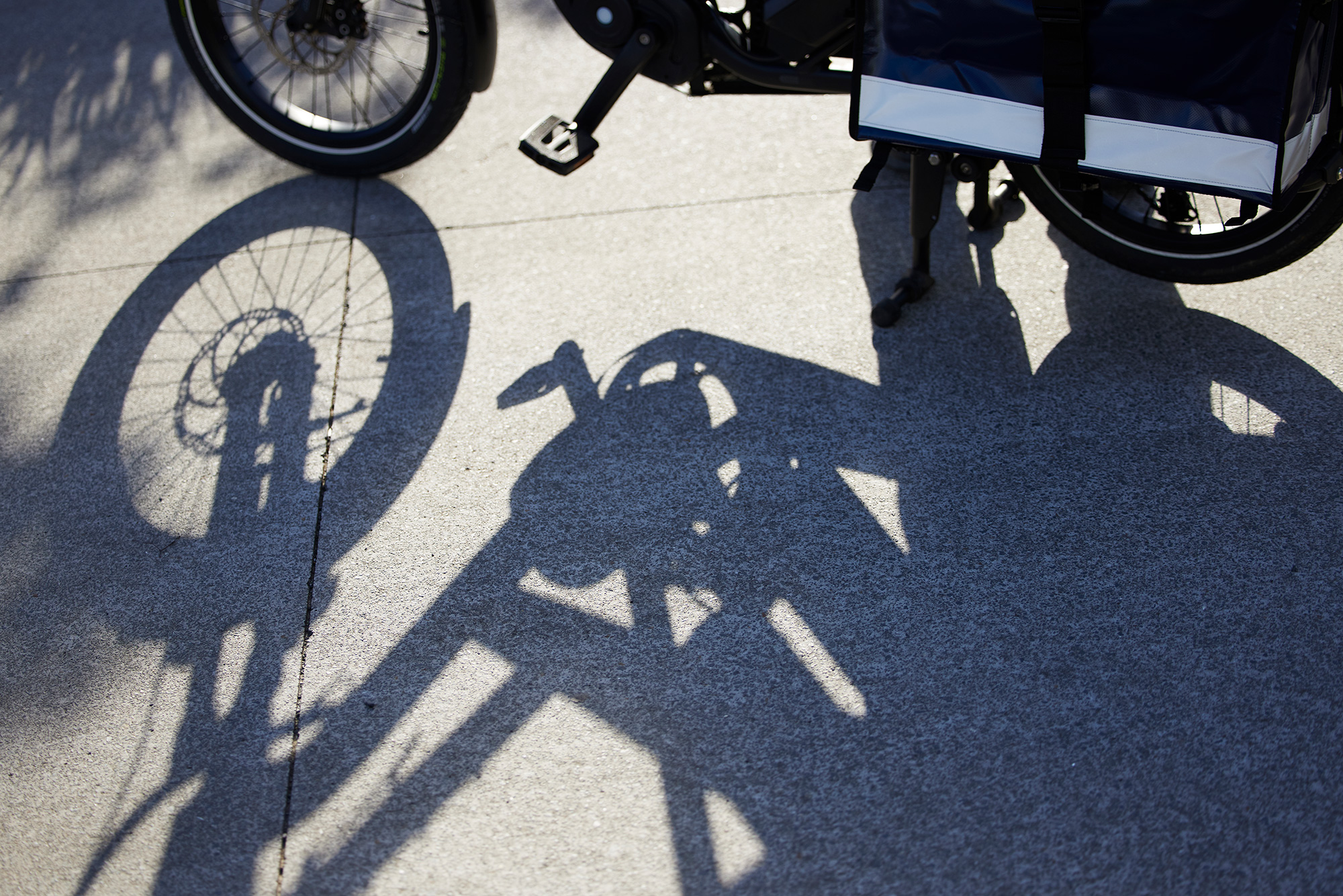 The Collective Force - NZ Post Sustainability