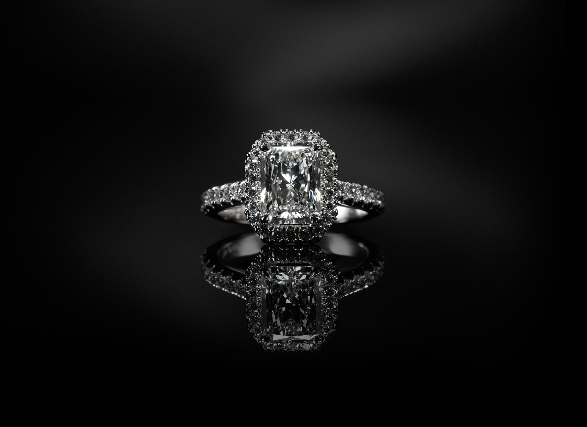 The Collective Force - NZI