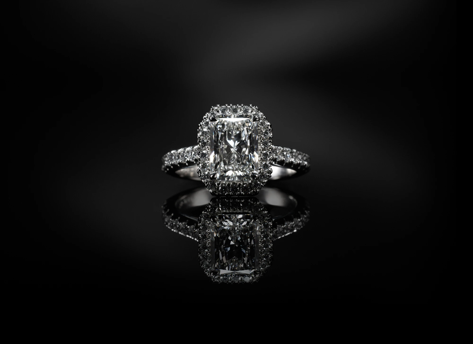 The Collective Force - NZI