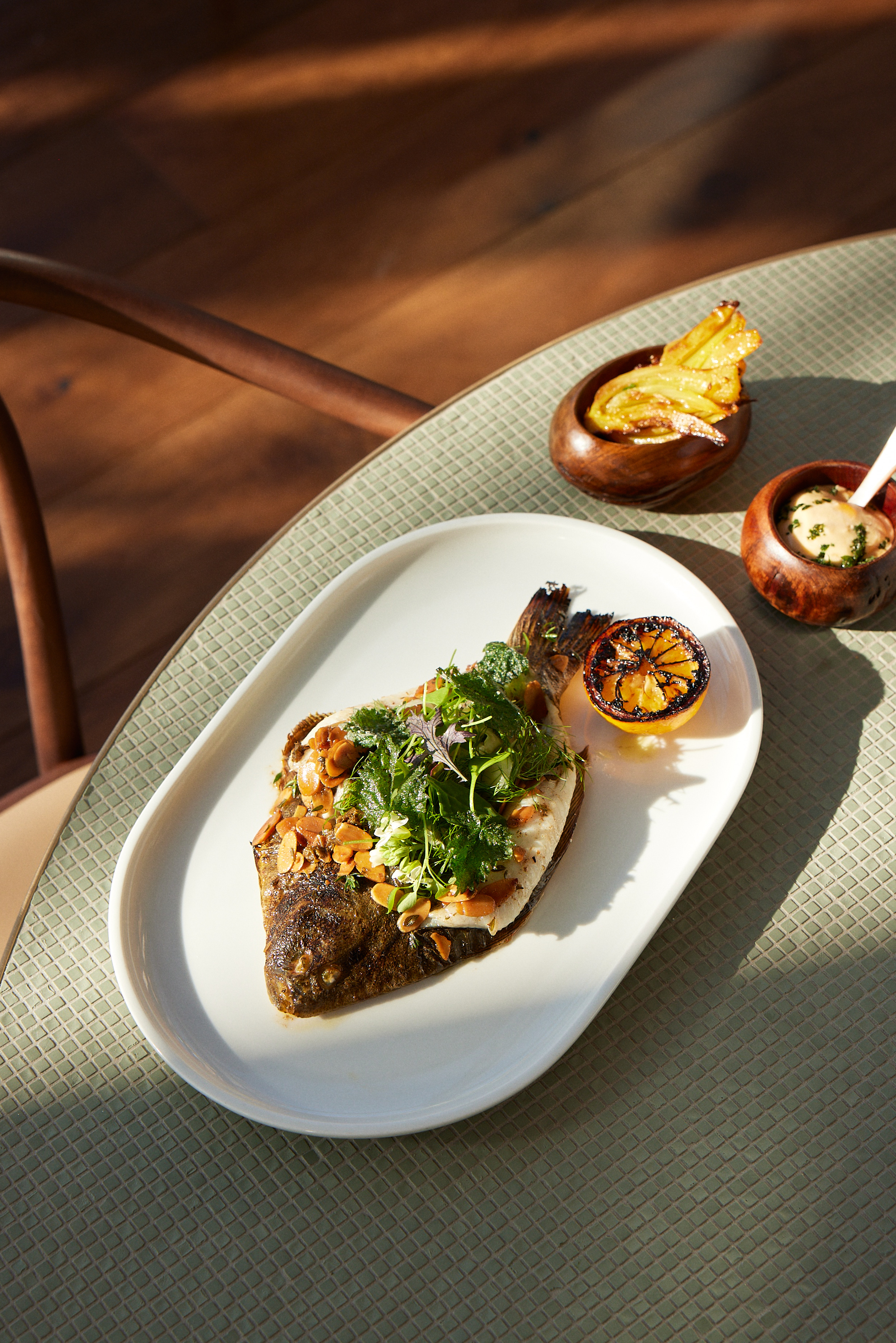 The Collective Force - Origine