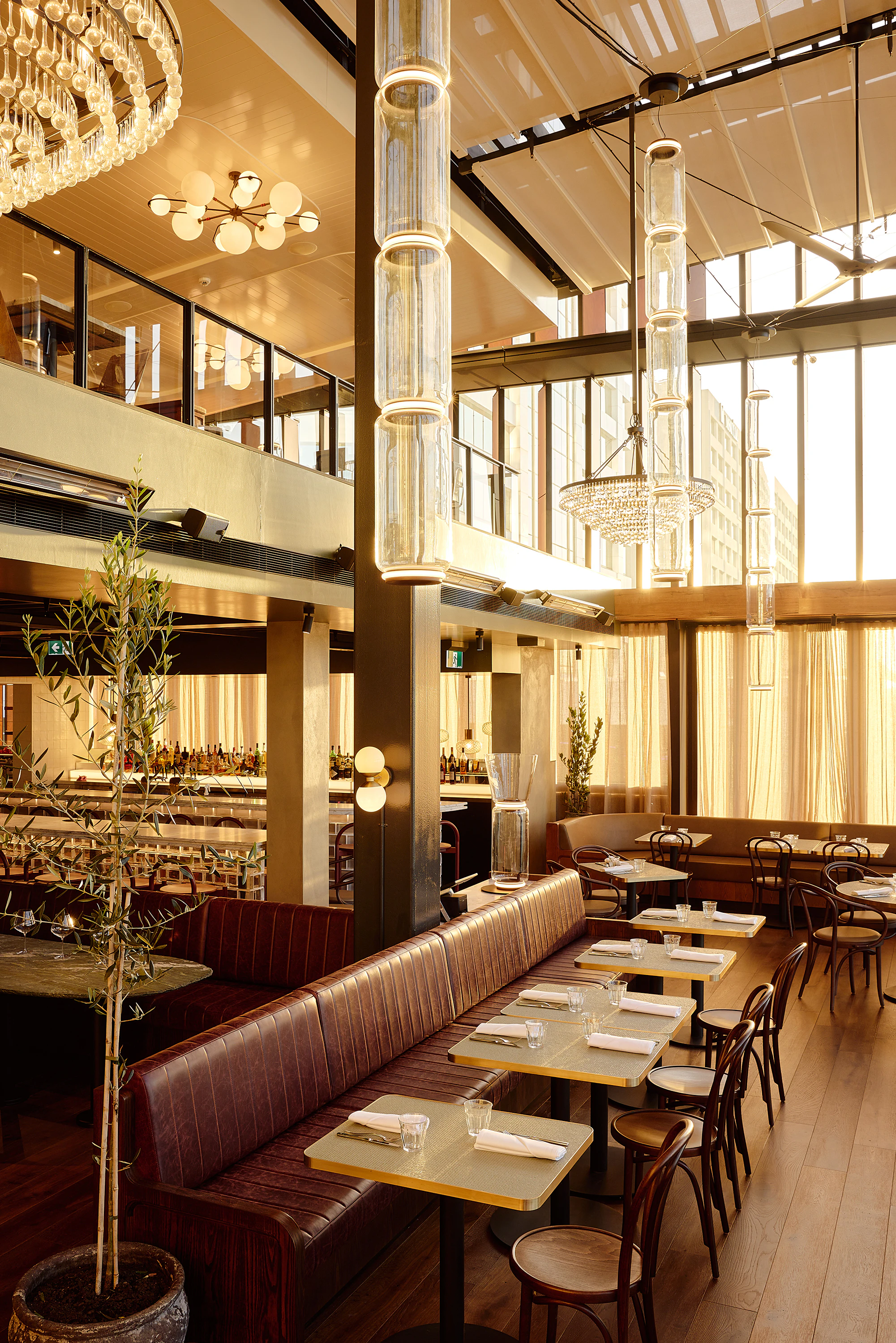 The Collective Force - Origine