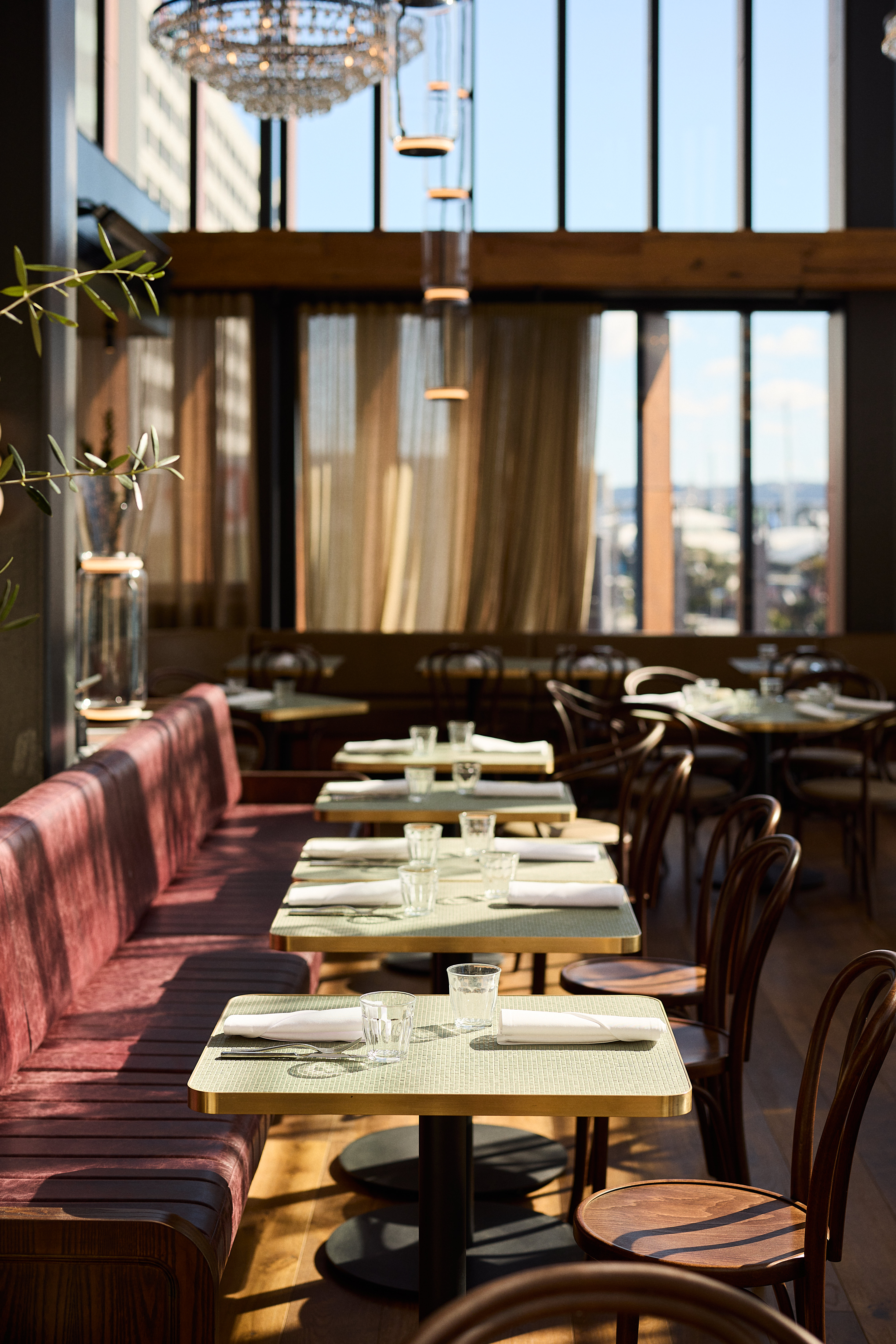 The Collective Force - Origine