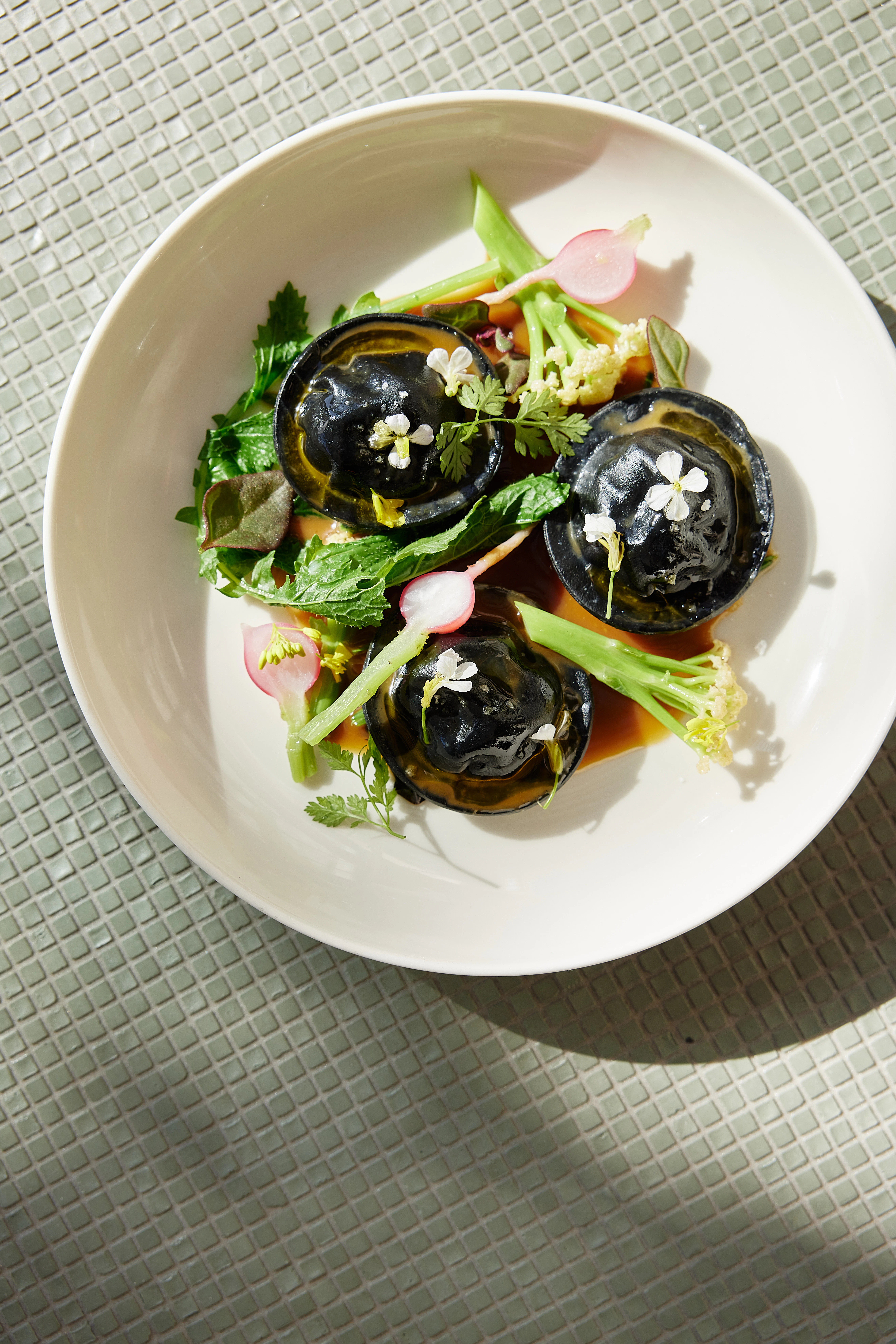 The Collective Force - Origine