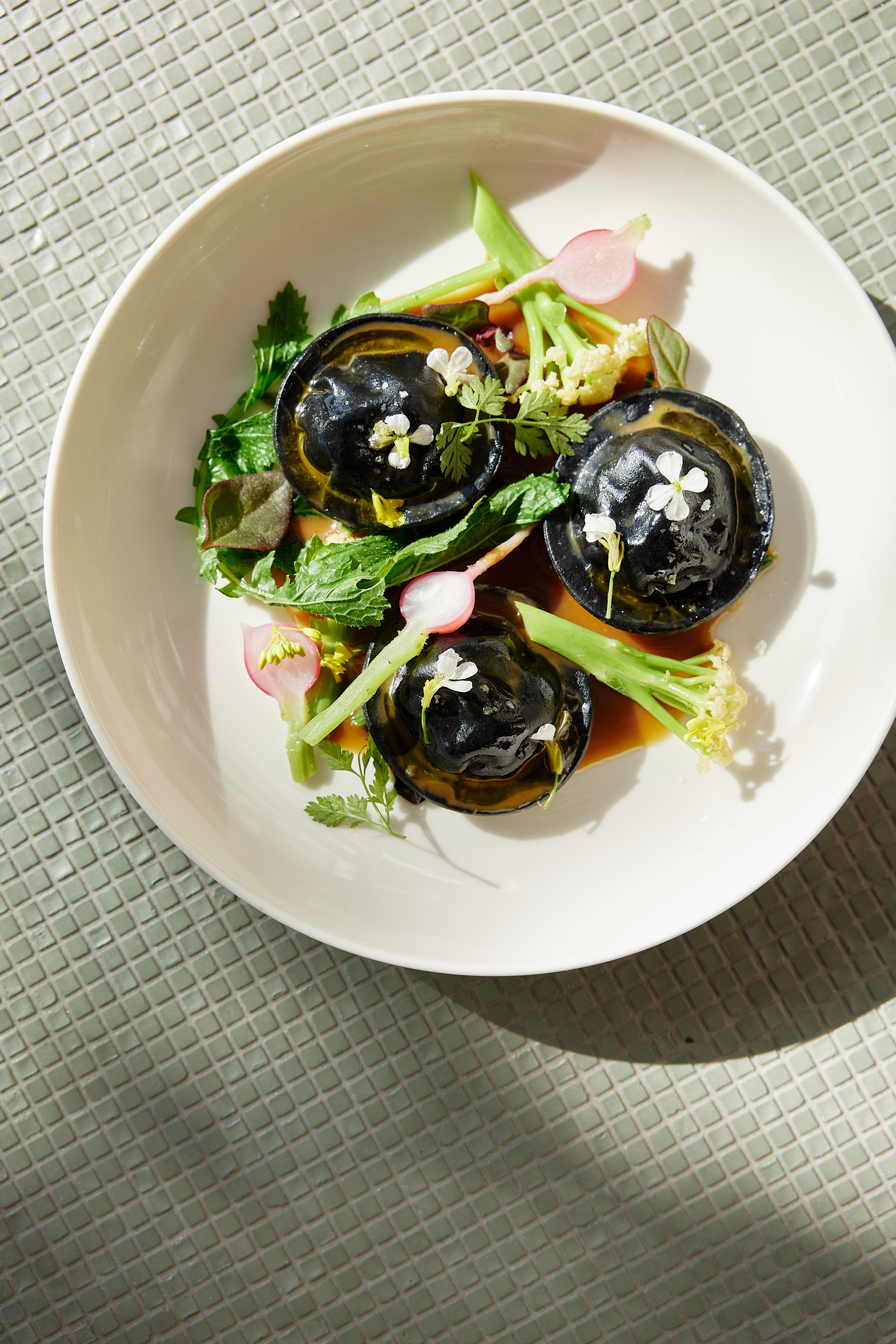 The Collective Force - Origine