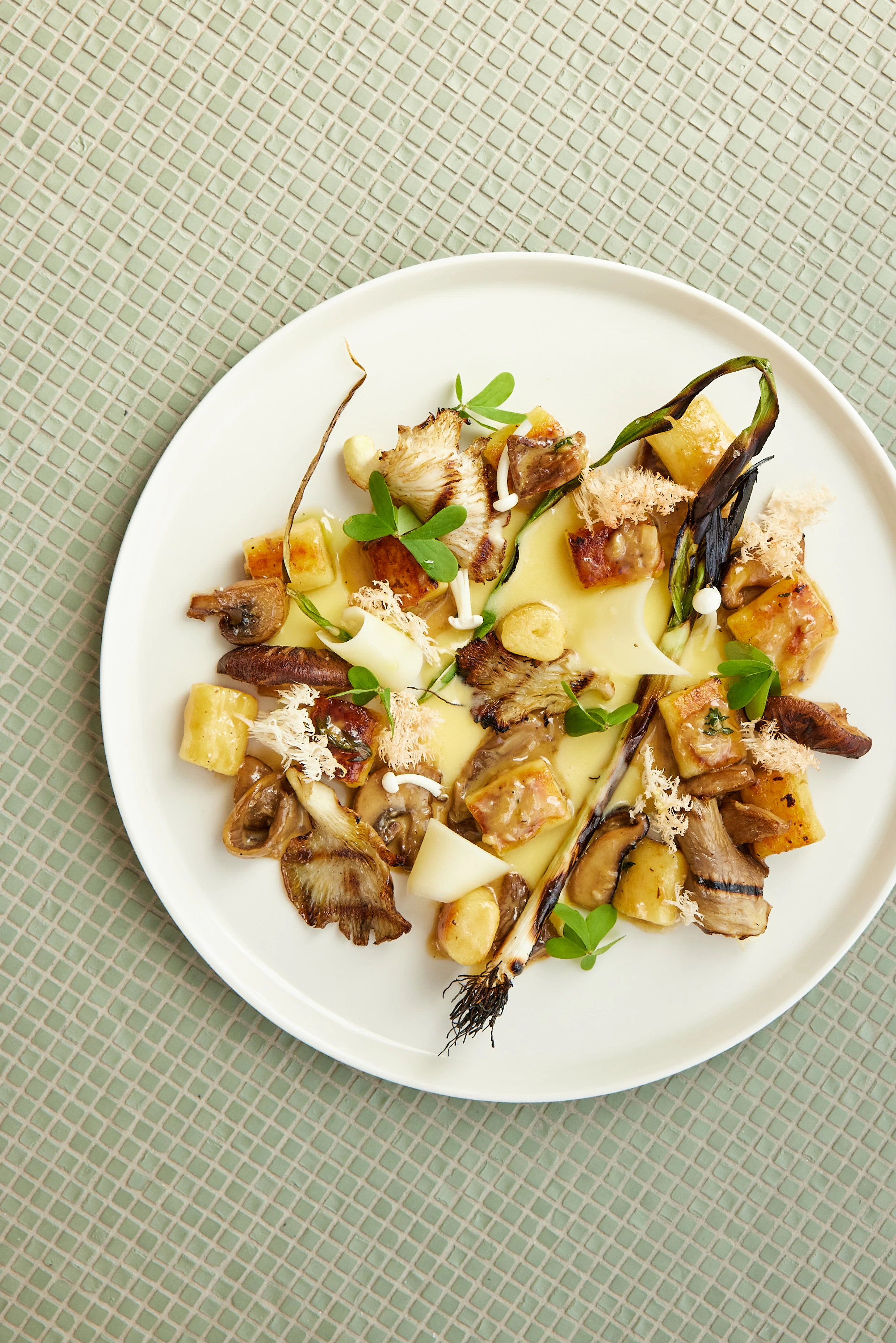 The Collective Force - Latest