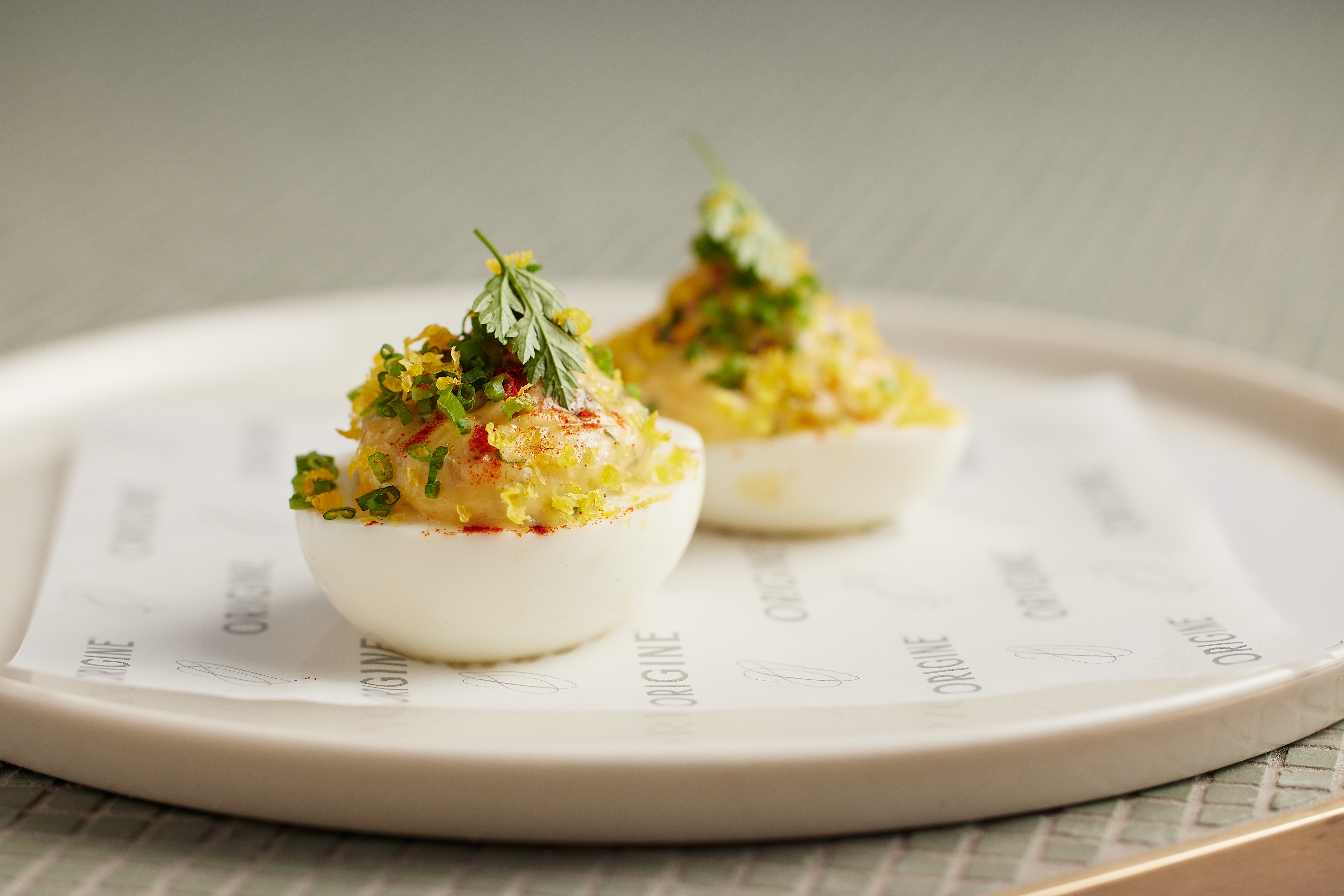 The Collective Force - Origine