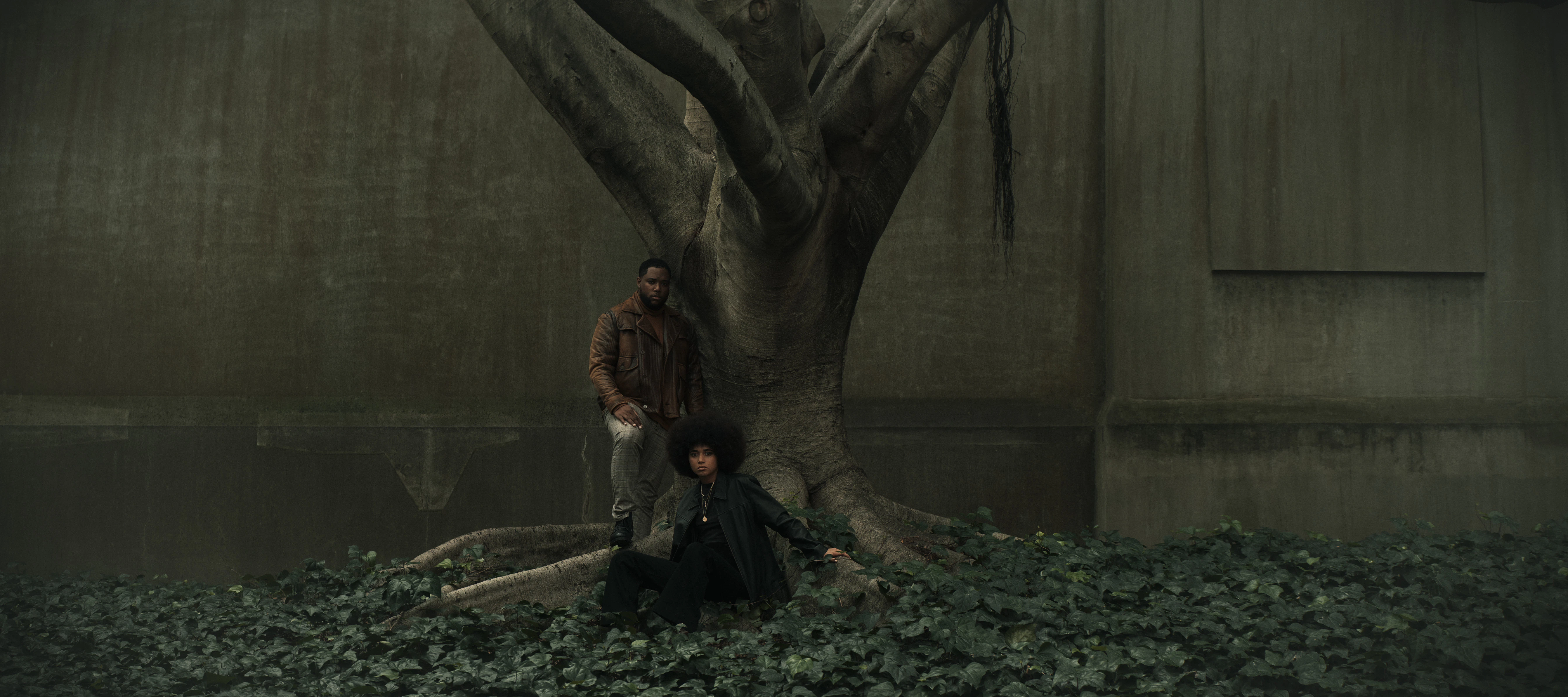 The Collective Force - 