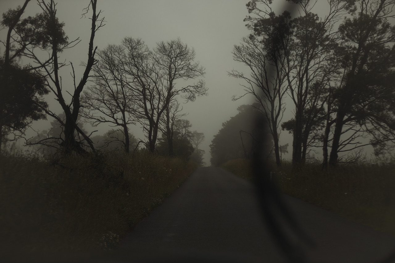 The Collective Force - Personal Work