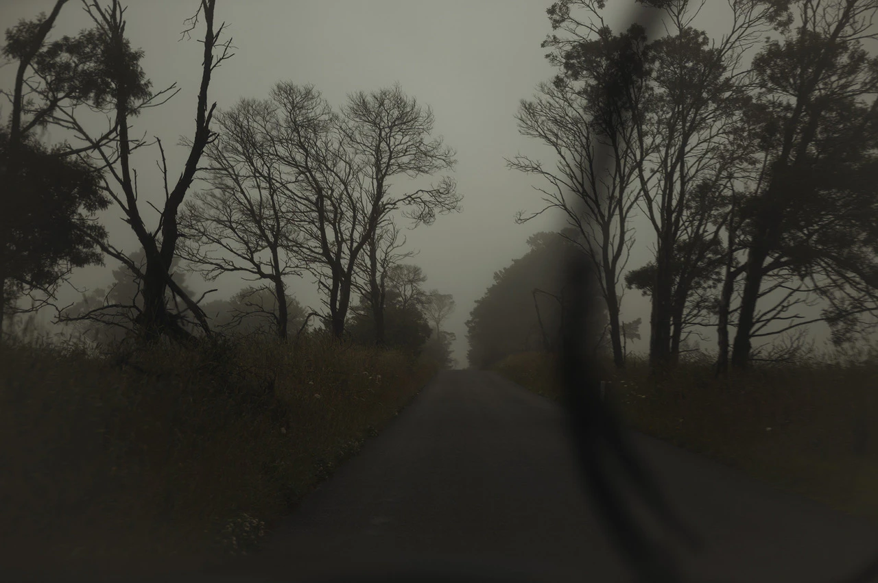 The Collective Force - Personal Work