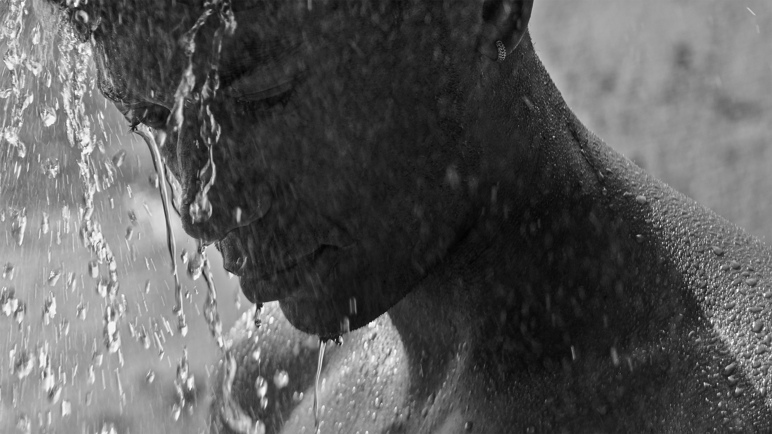 The Collective Force - Personal Work