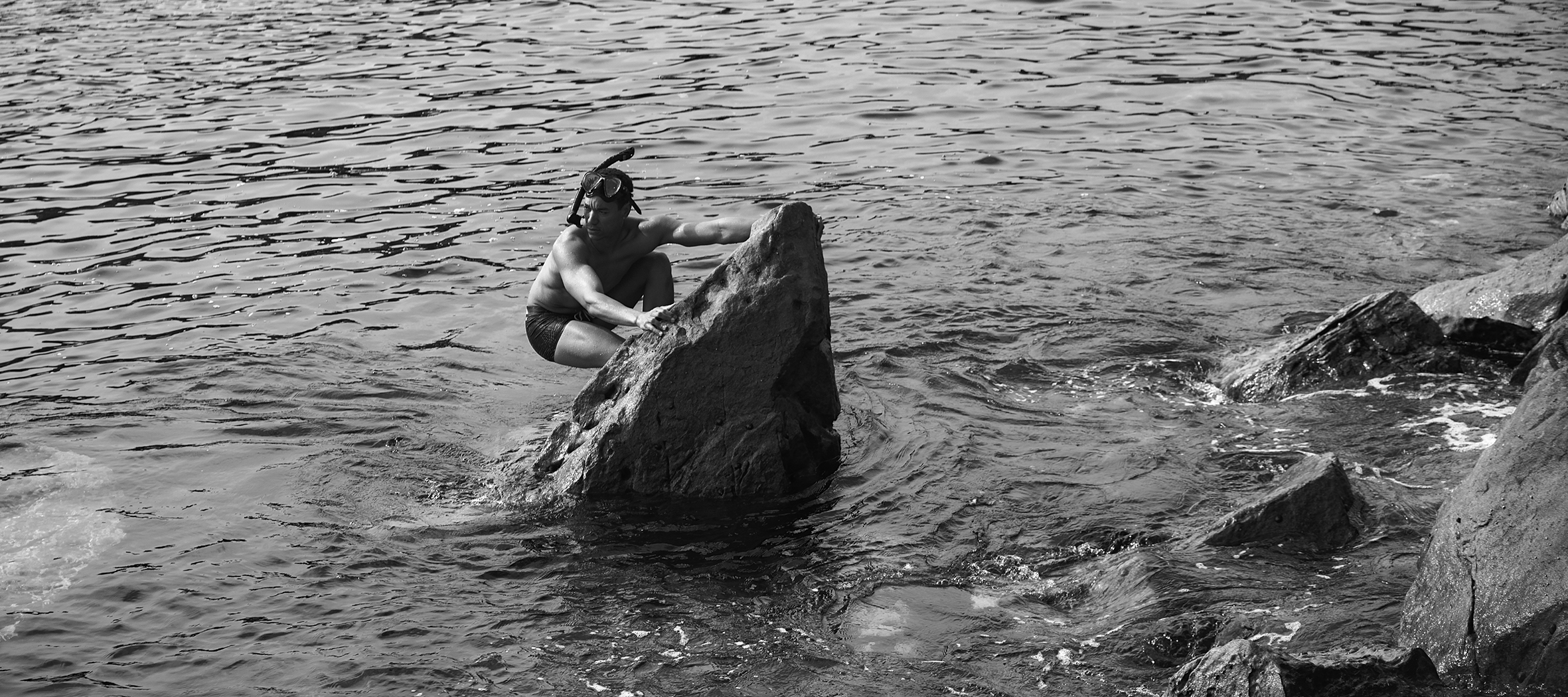 The Collective Force - Zelle