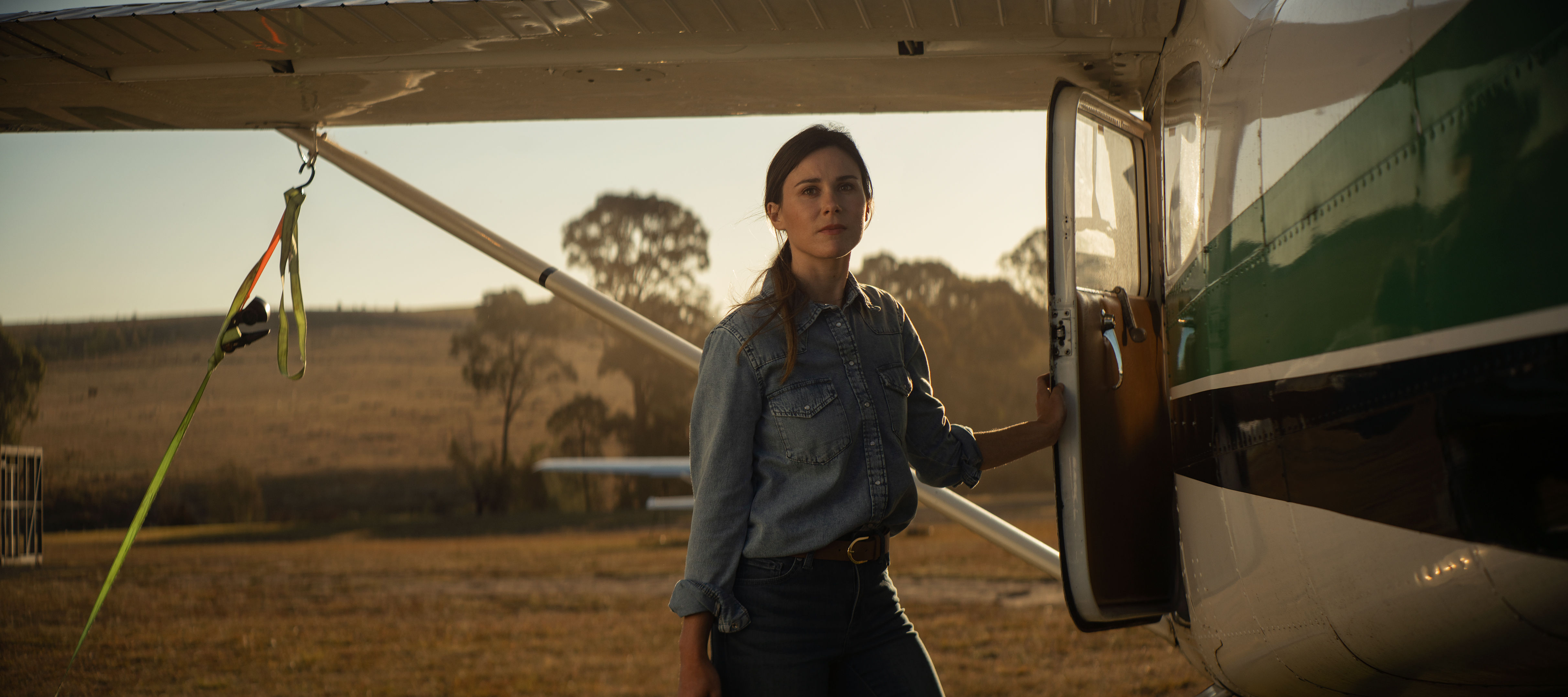 The Collective Force - QBE