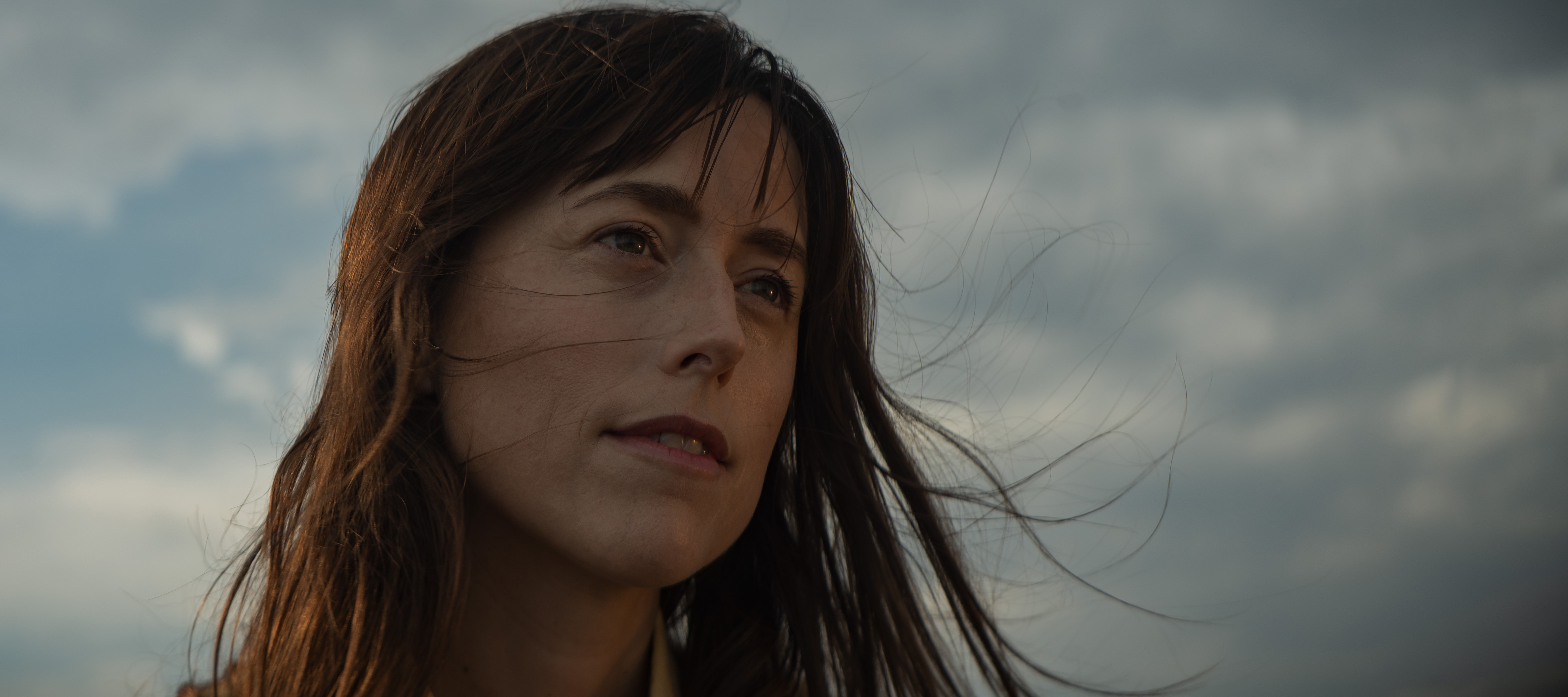 The Collective Force - QBE